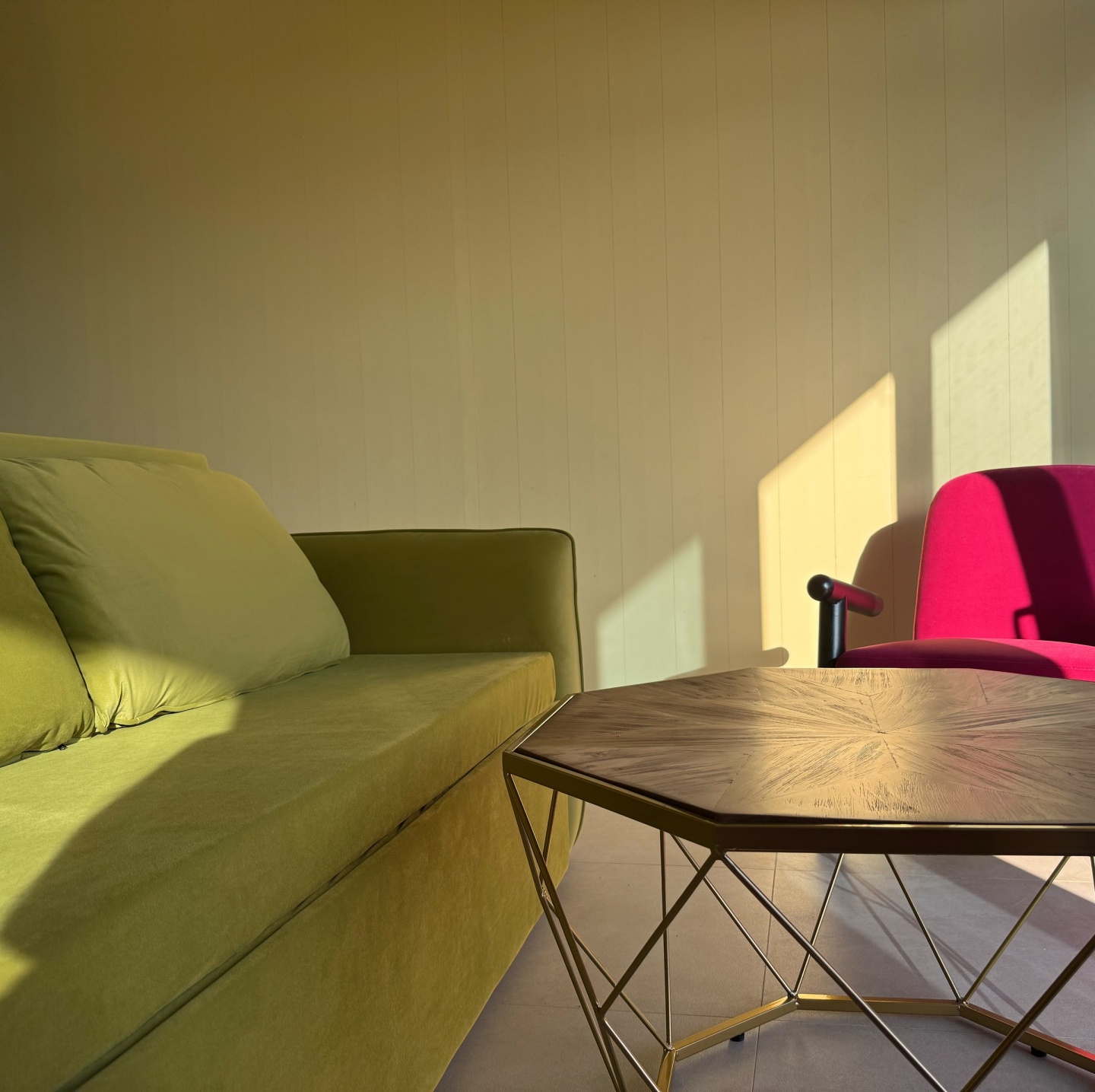 Жёлтая трясогузка - фото 13