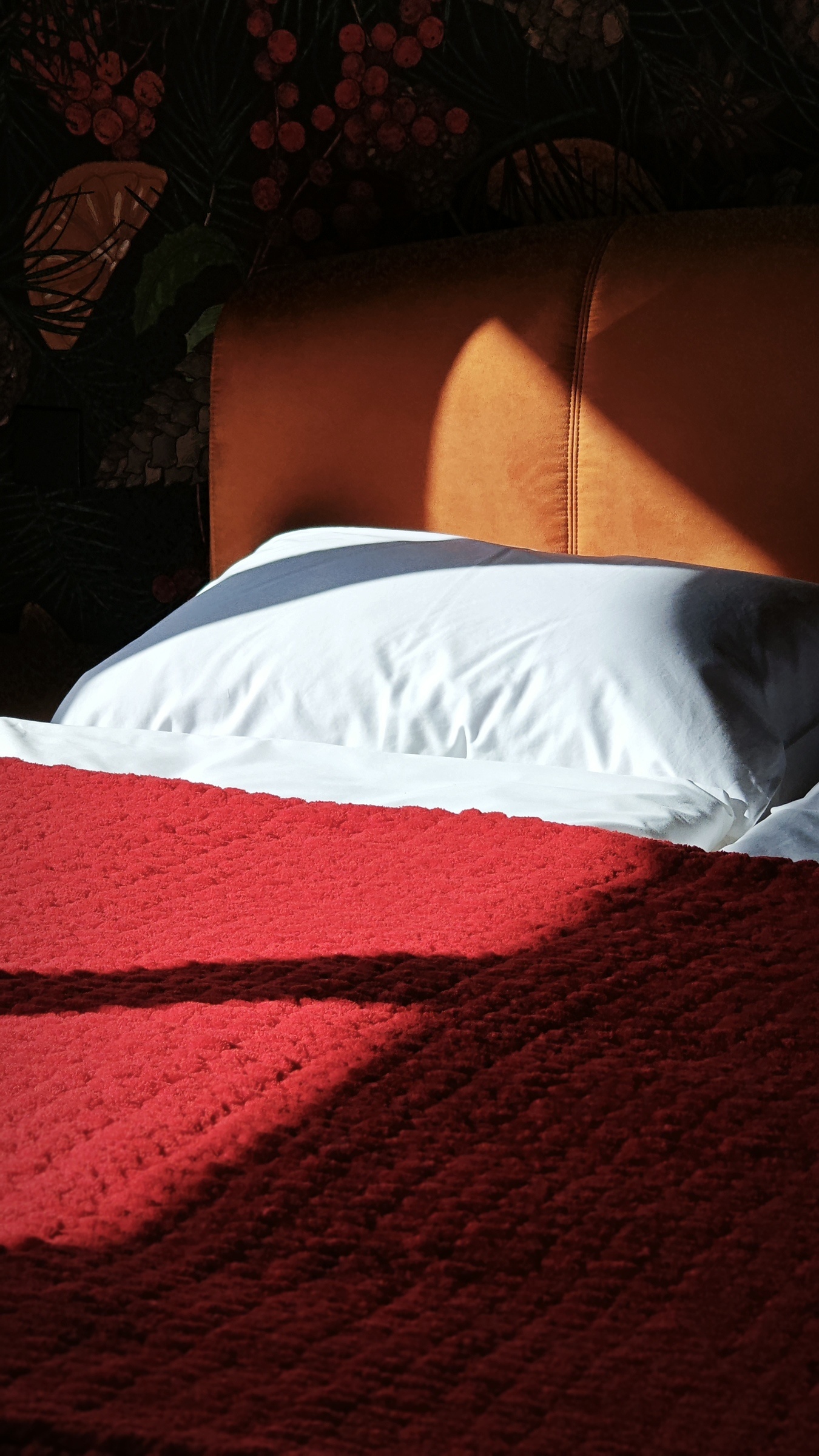 Рябиновый лес - фото 7