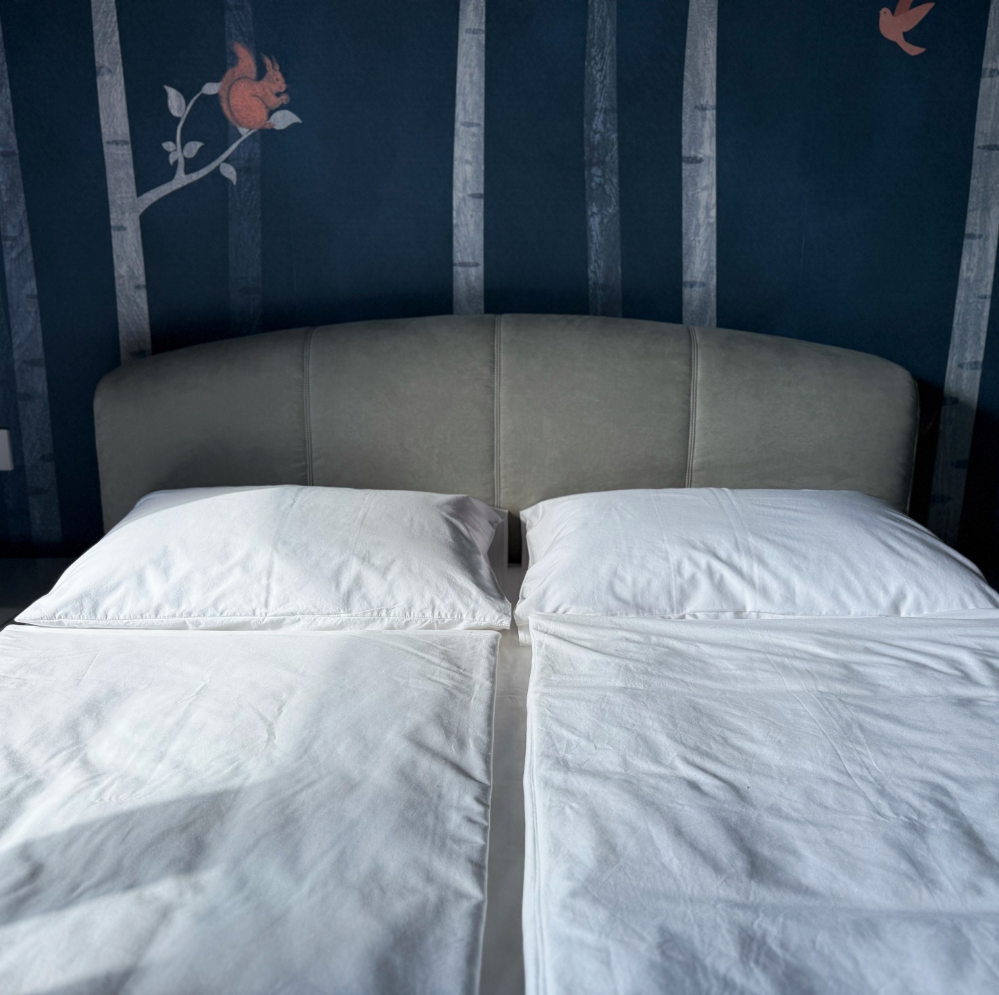 Таинственный марал - фото 12