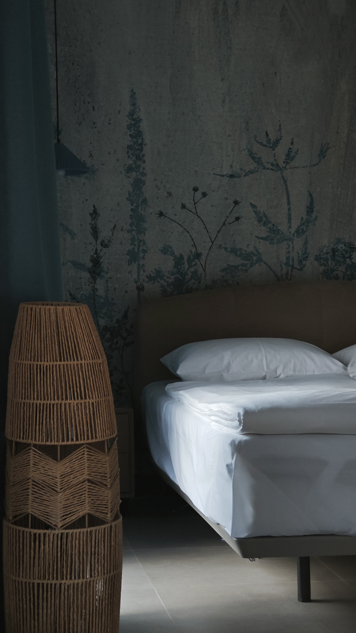 Верховья Катуни - фото 19