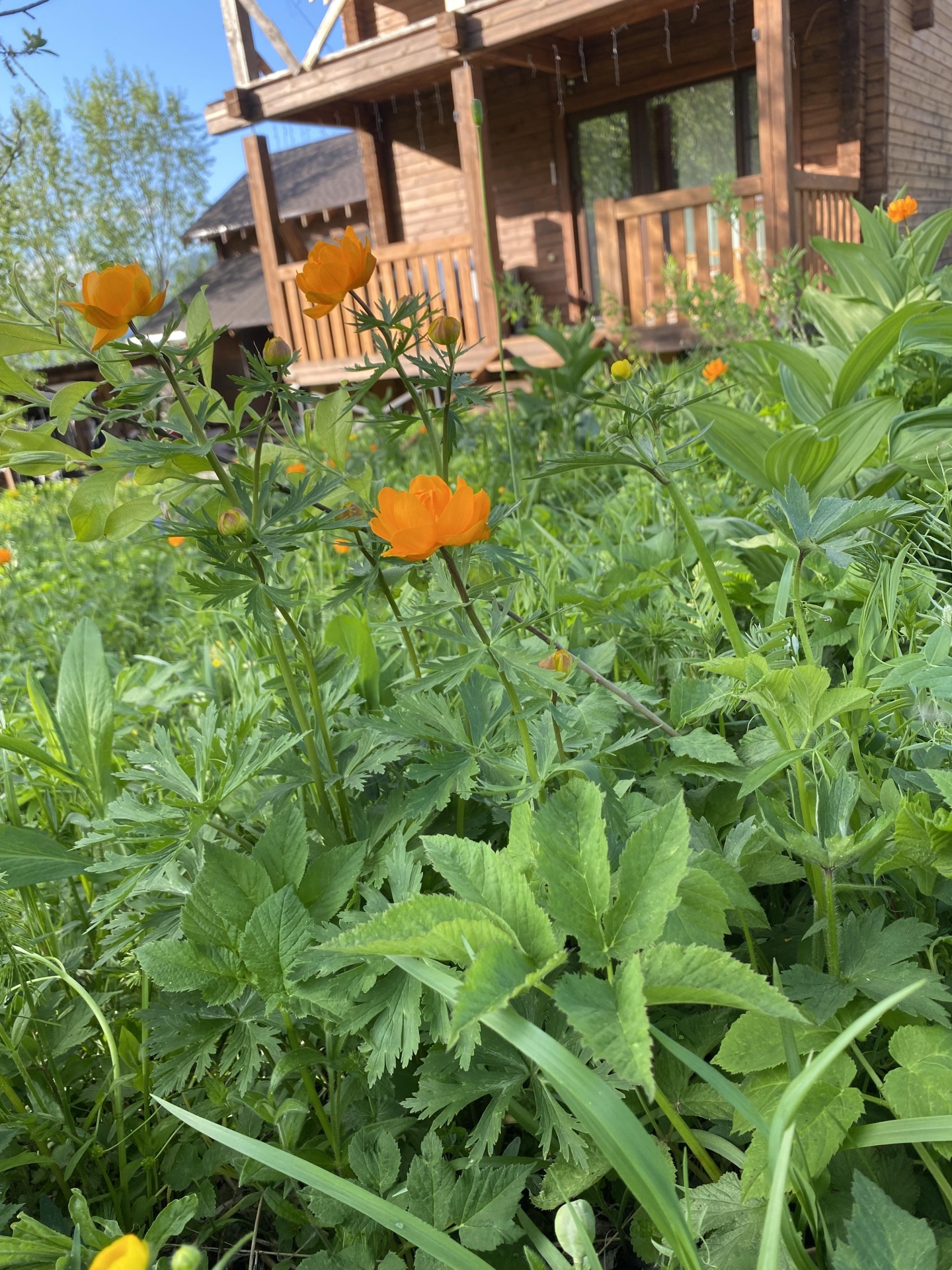 Апартаменты на Нагорная улица, 6 - фото 360