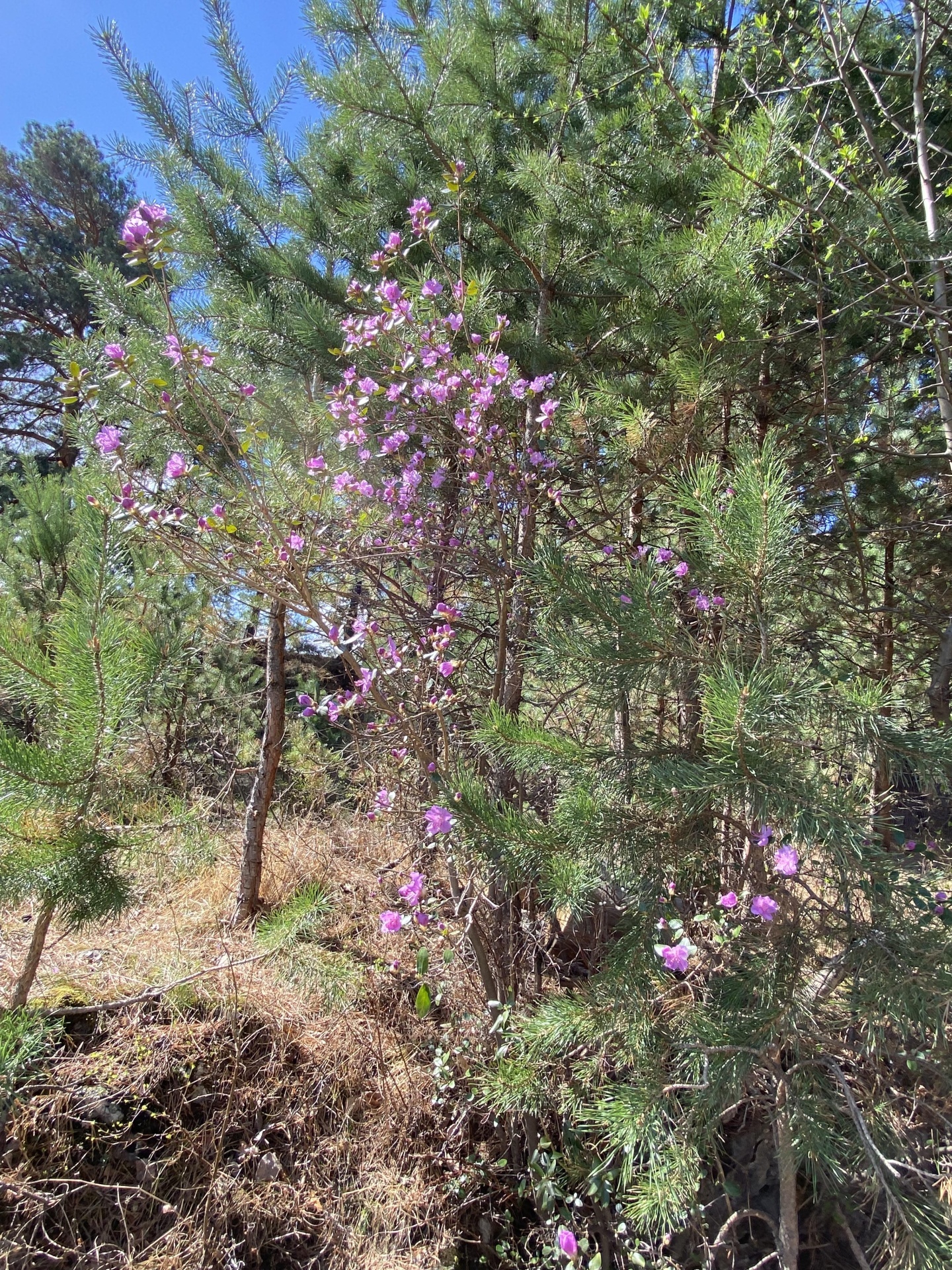 Апартаменты на Нагорная улица, 6 - фото 362
