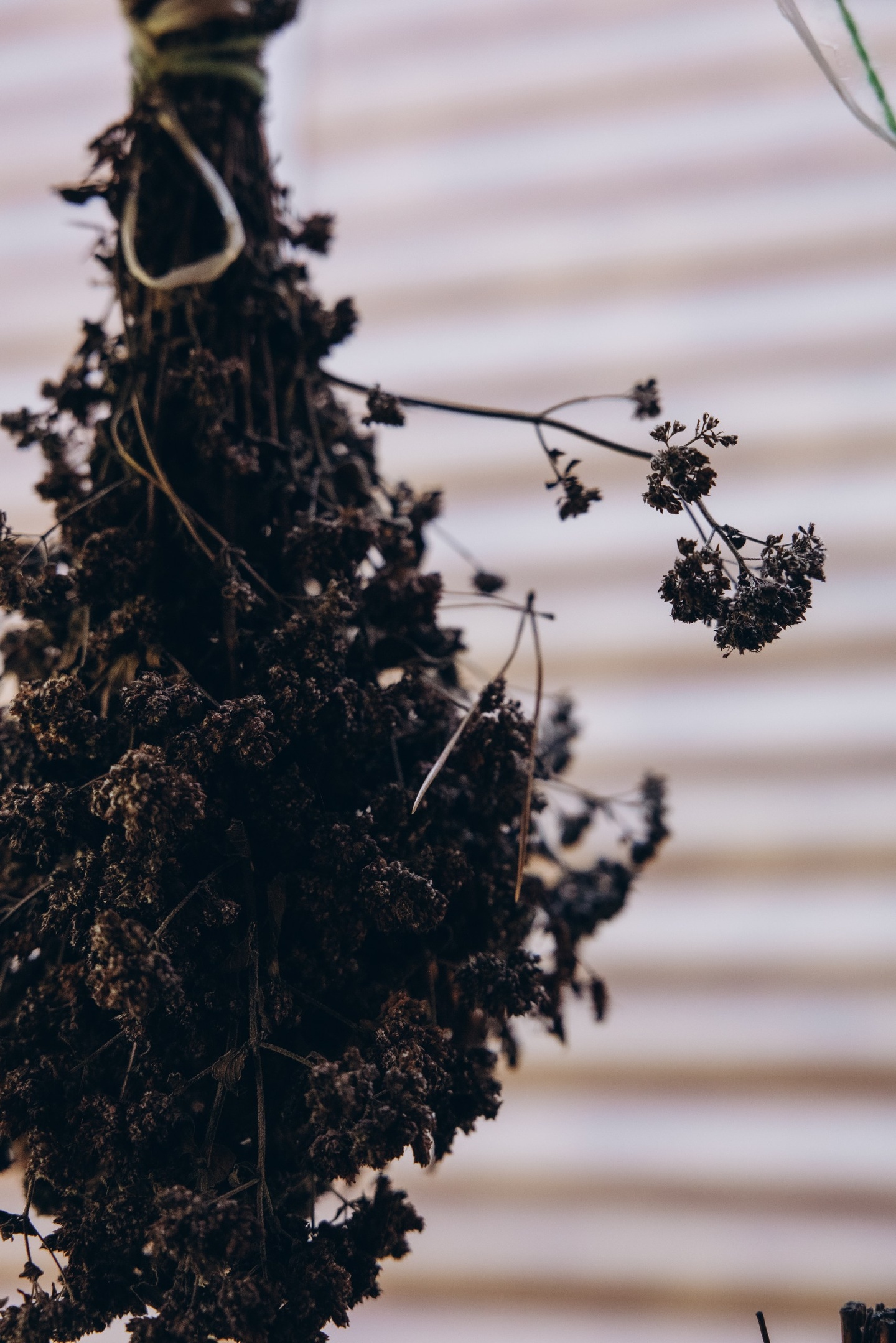 Гранд Алтай Манжерок - фото 2