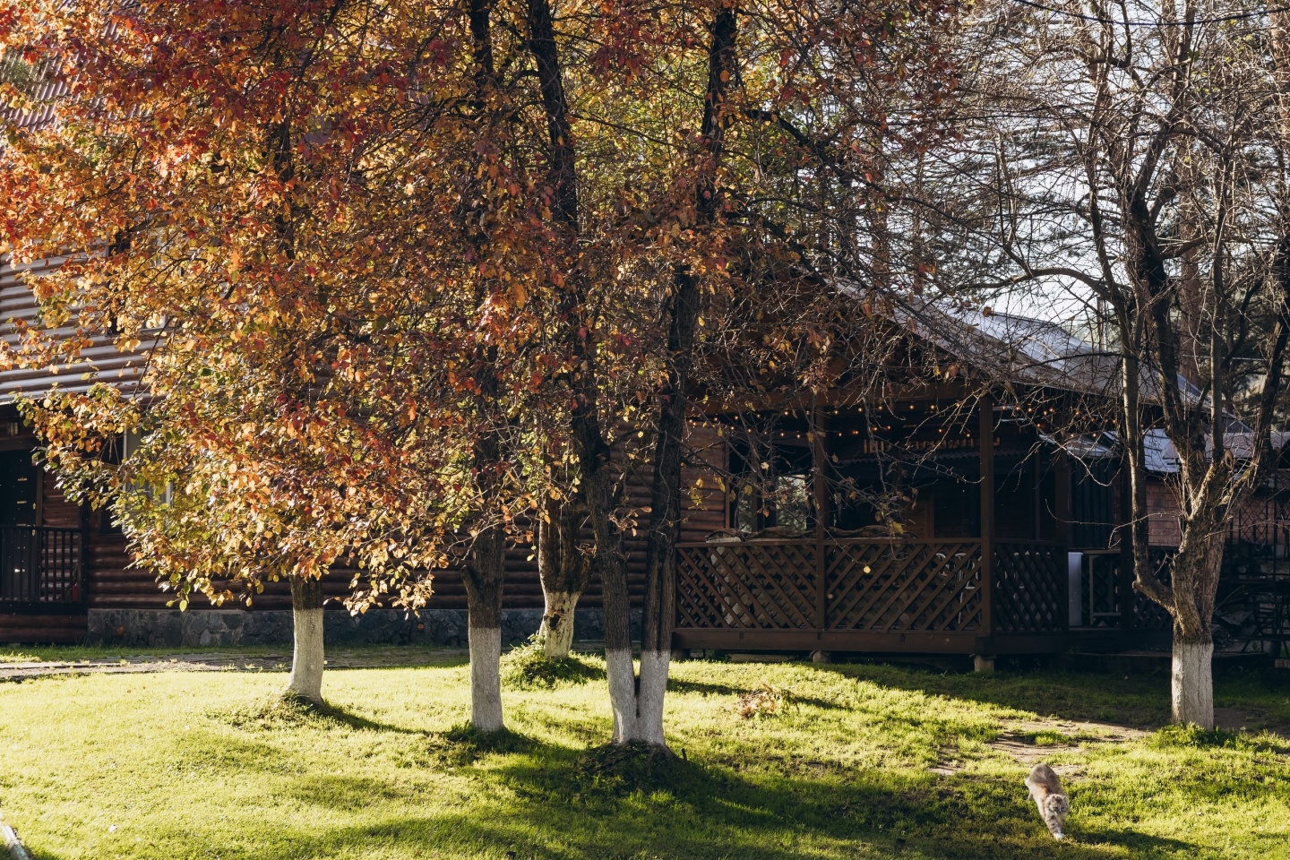 Гранд Алтай Манжерок - фото 43