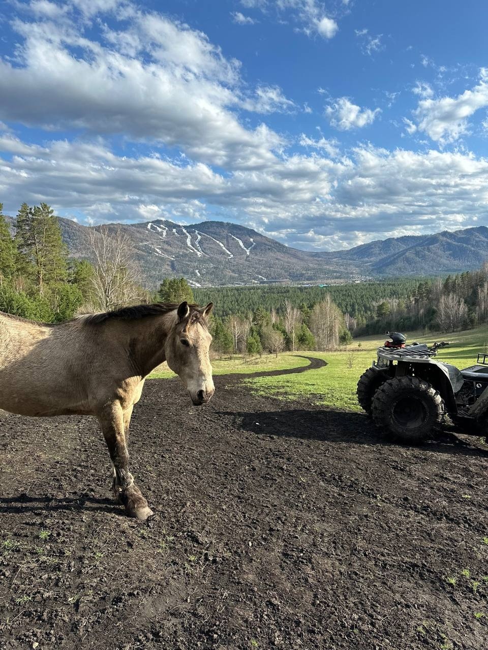 Гранд Алтай Манжерок - фото 47