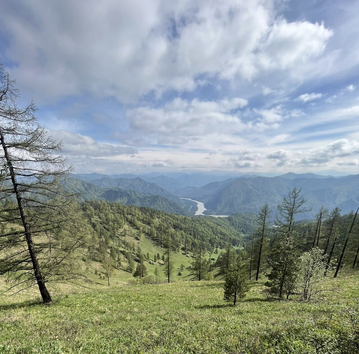 Гранд Алтай Манжерок - фото 55