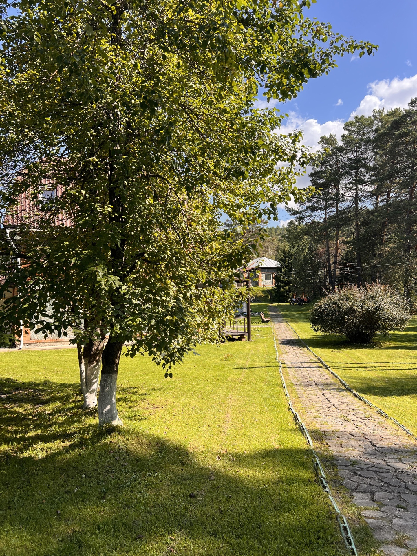 Гранд Алтай Манжерок - фото 59