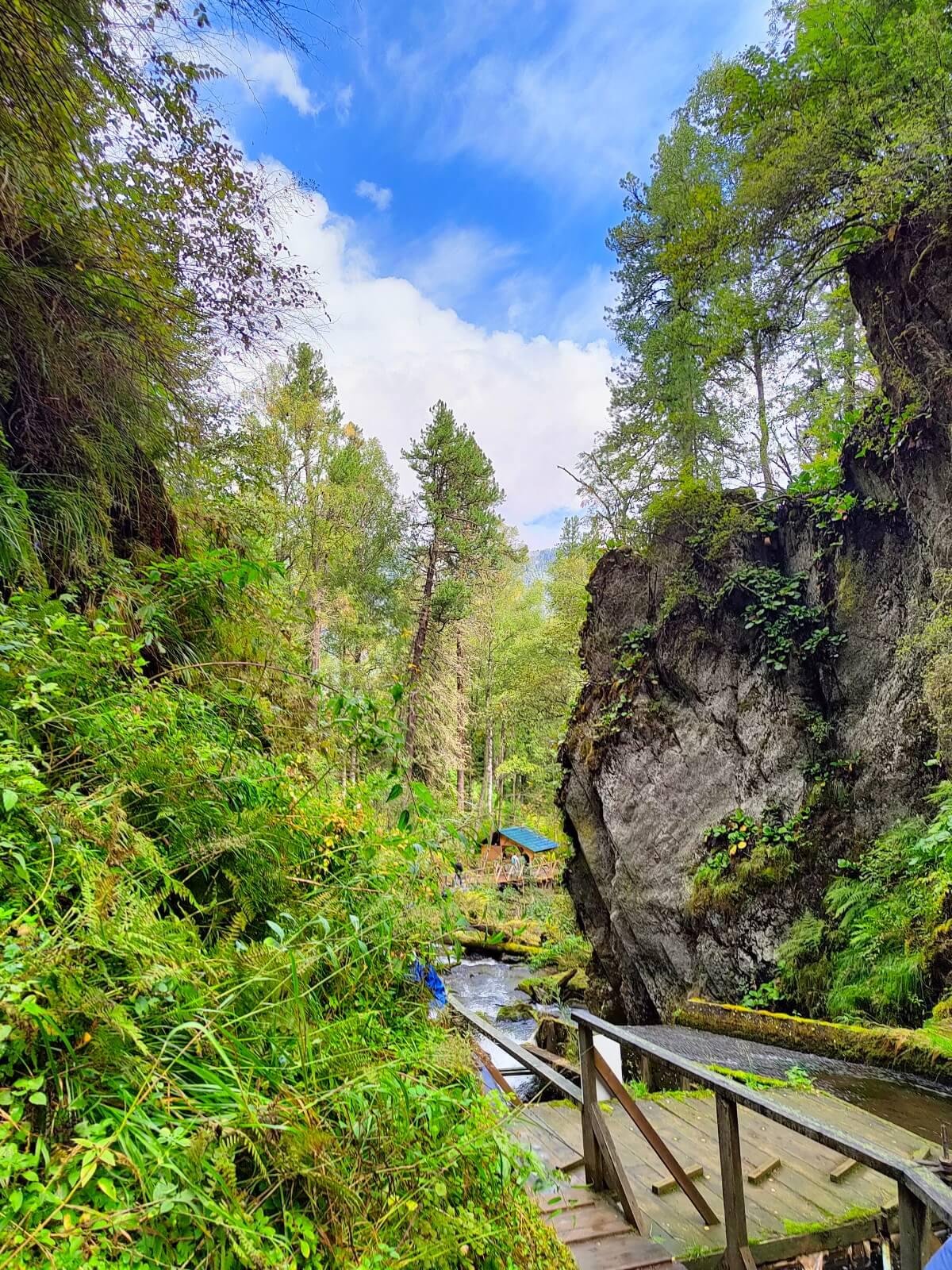 Ойер Парк - фото 32