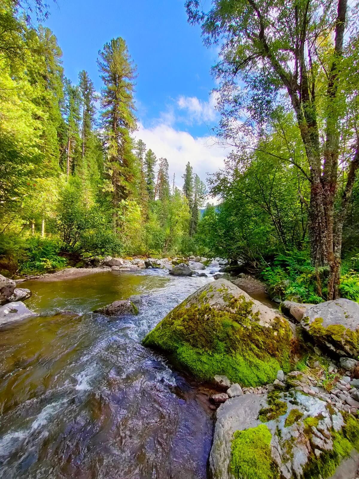 Ойер Парк - фото 36