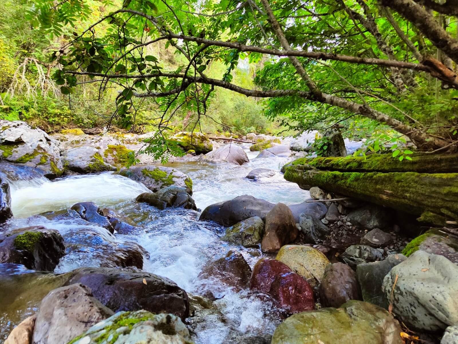 Ойер Парк - фото 37