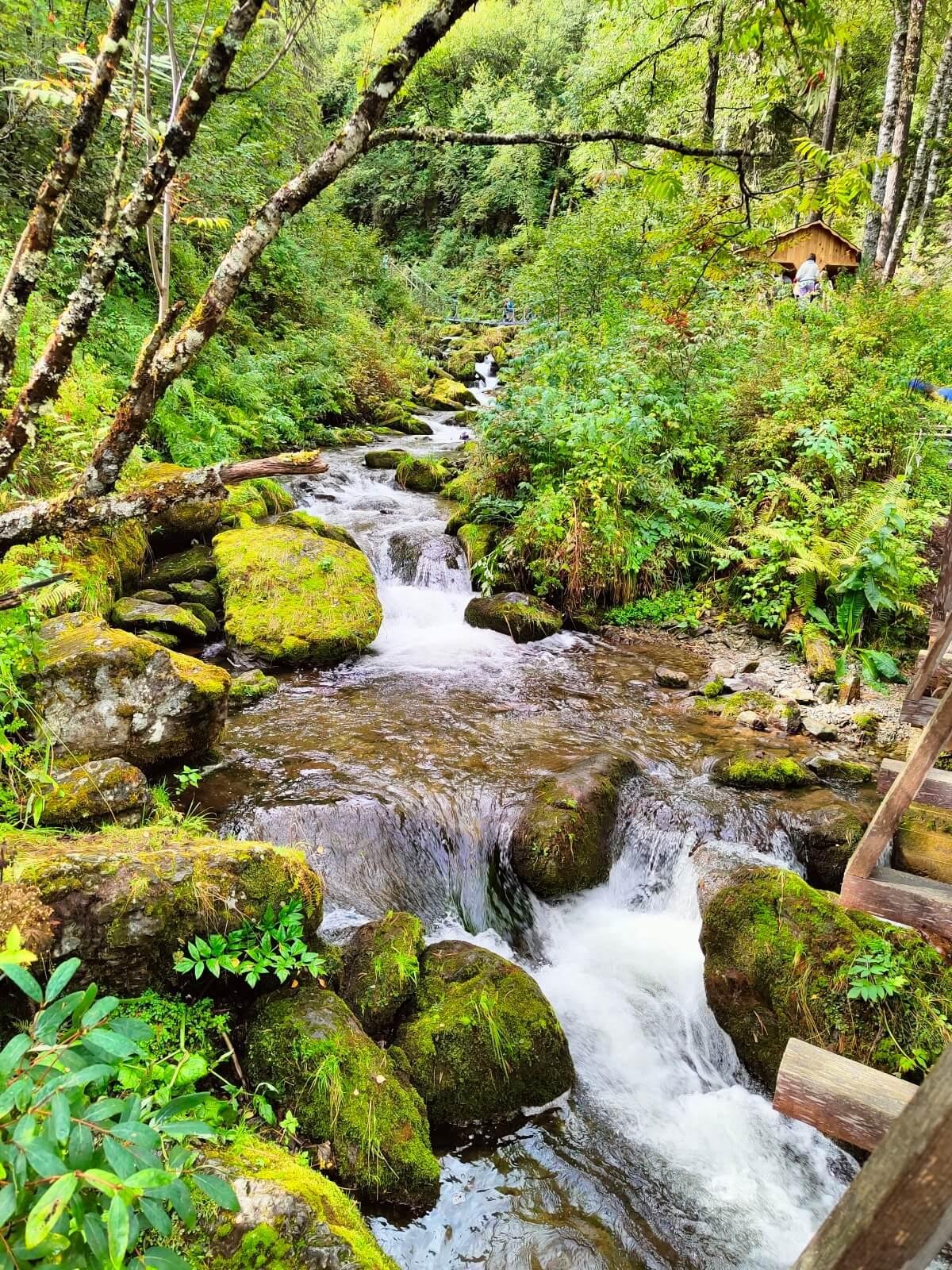 Ойер Парк - фото 41