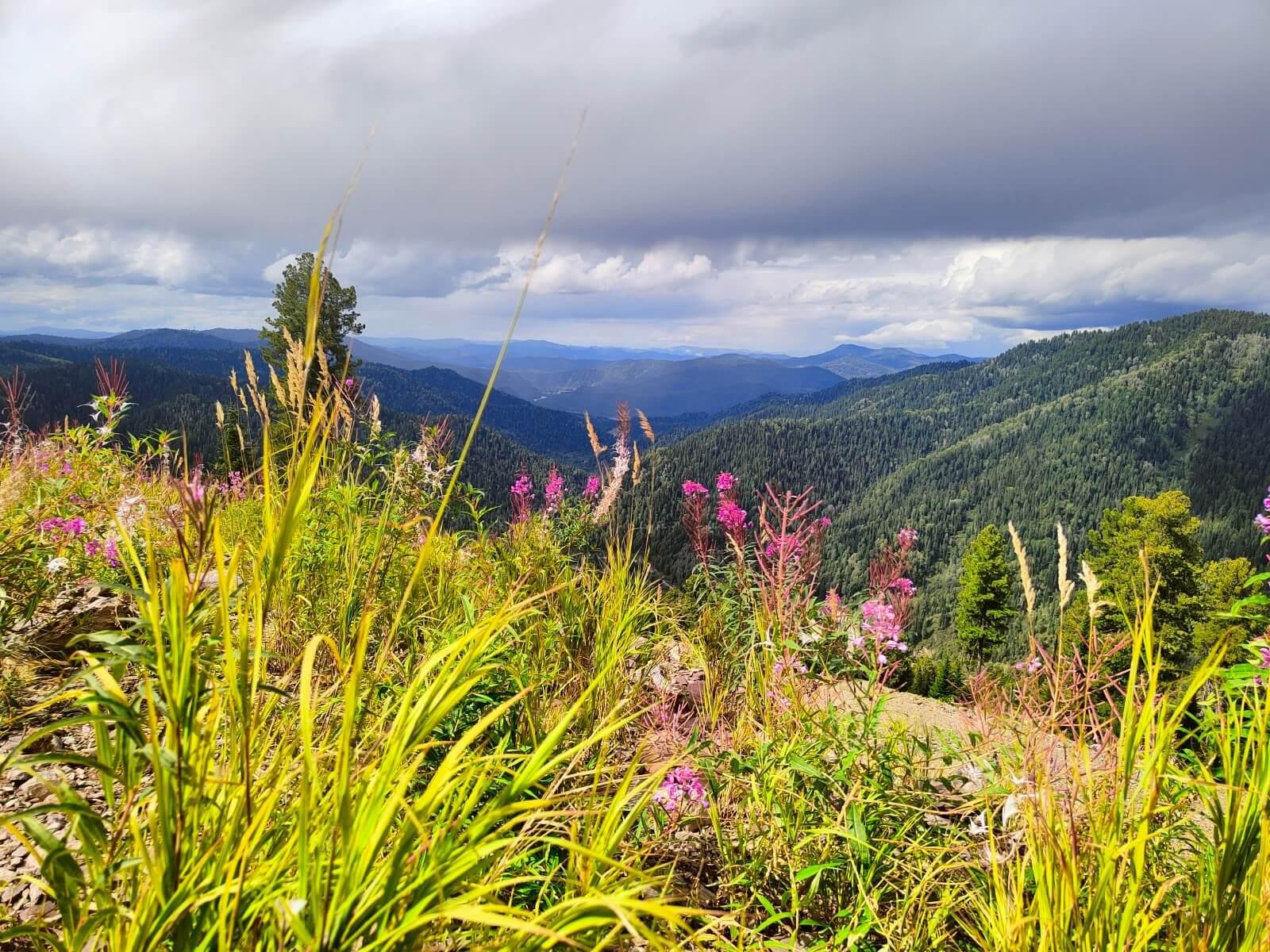 Ойер Парк - фото 43