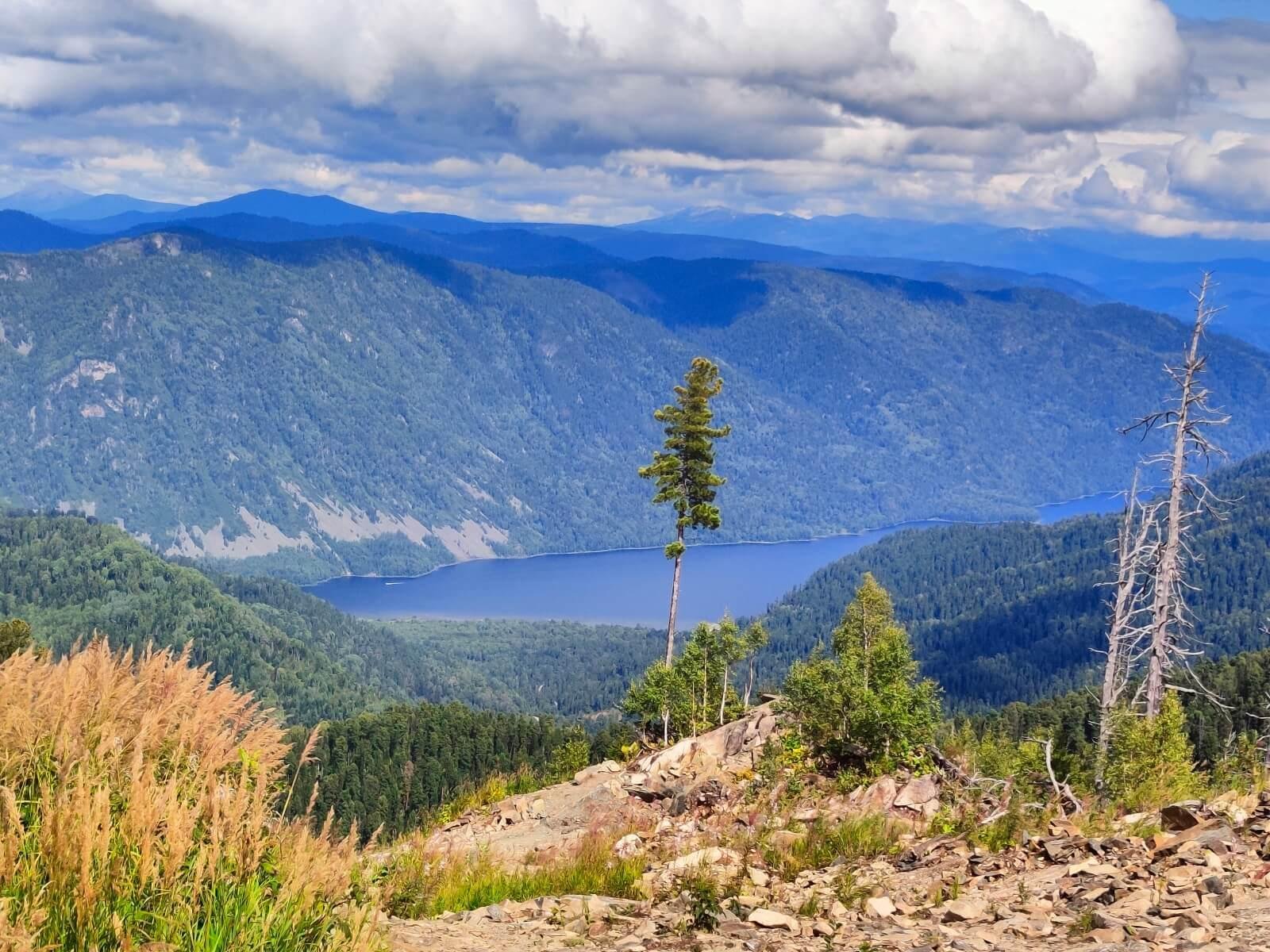 Ойер Парк - фото 45