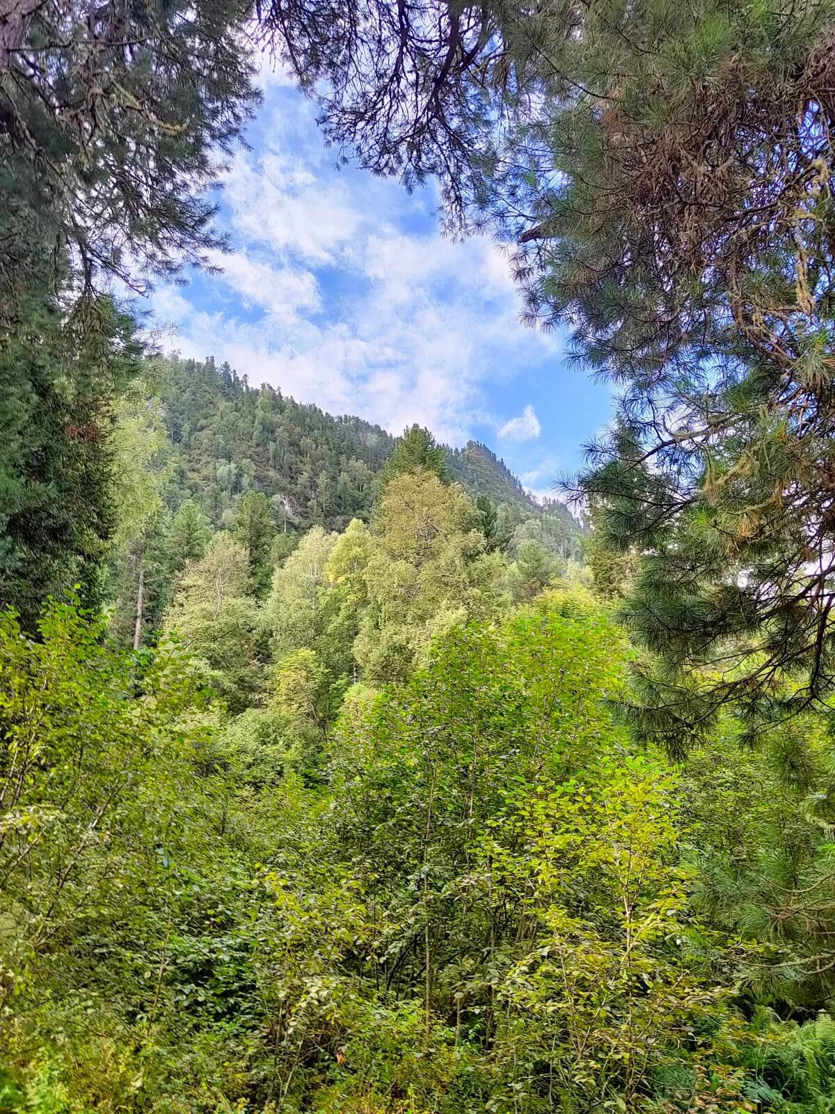 Ойер Парк - фото 49