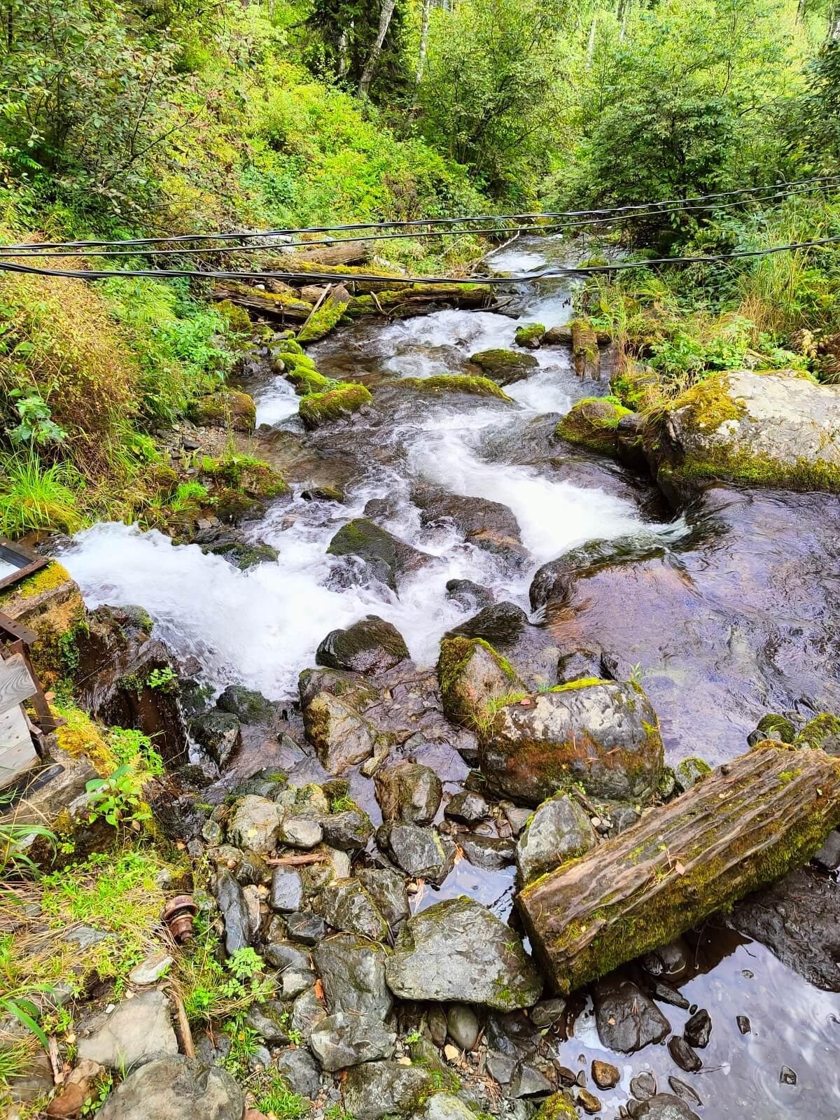 Ойер Парк - фото 51
