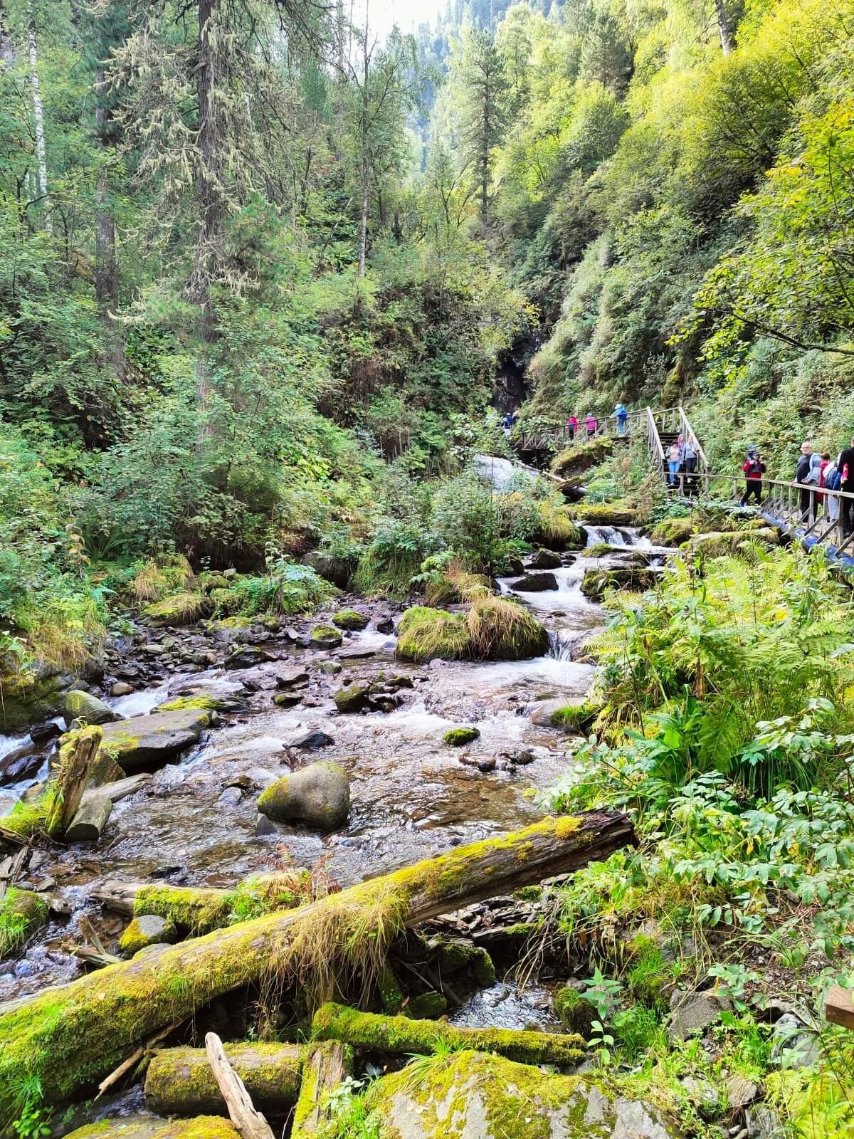 Ойер Парк - фото 55