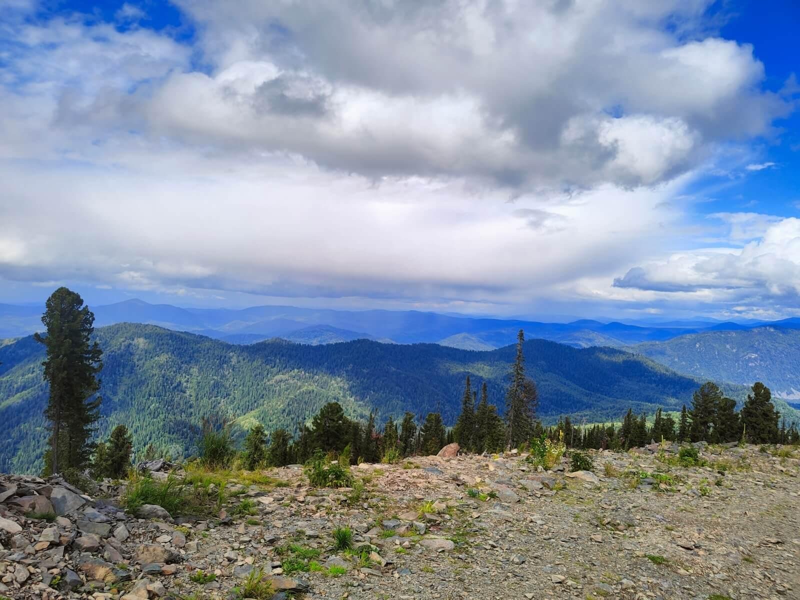 Ойер Парк - фото 56