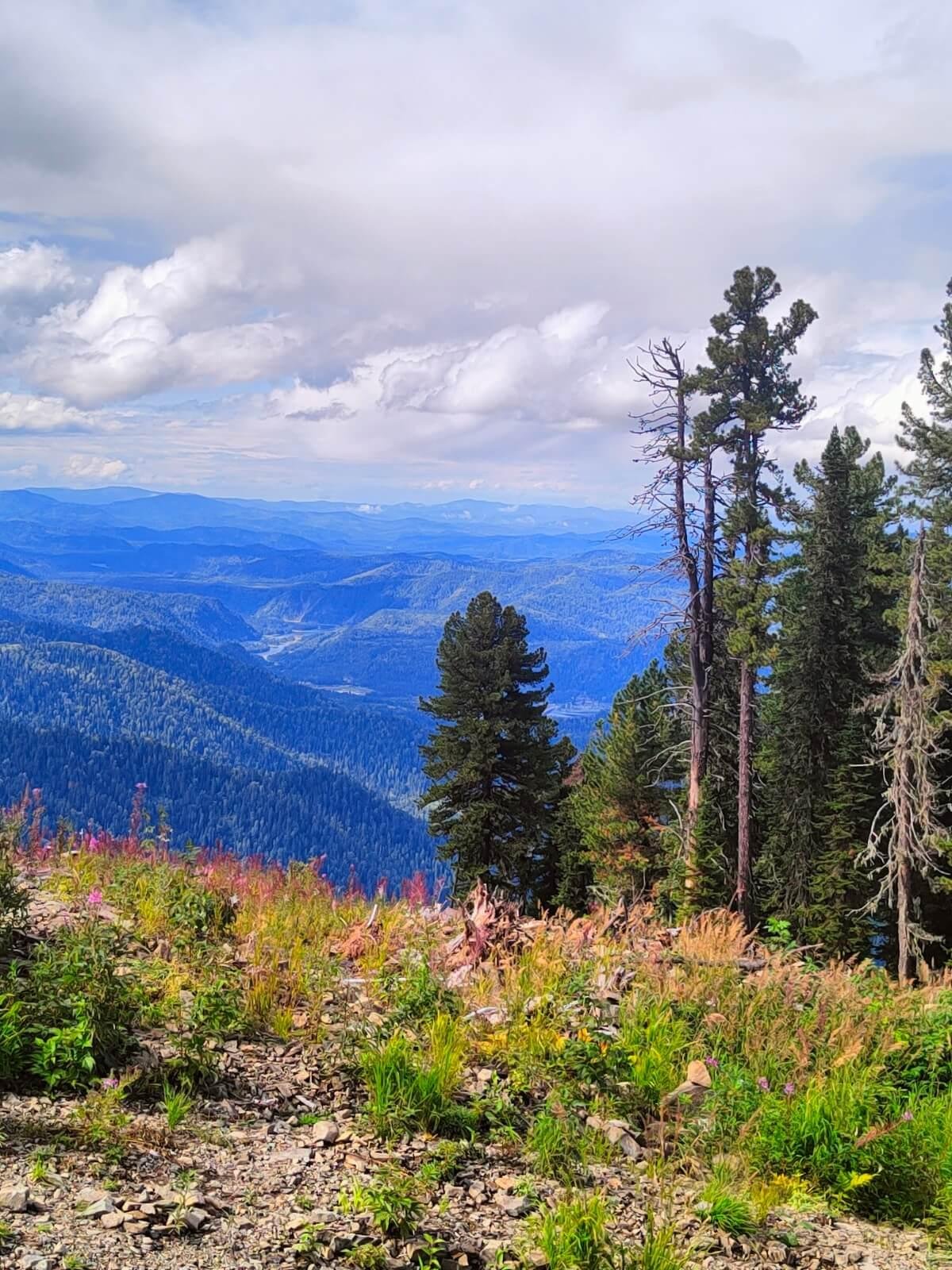 Ойер Парк - фото 64