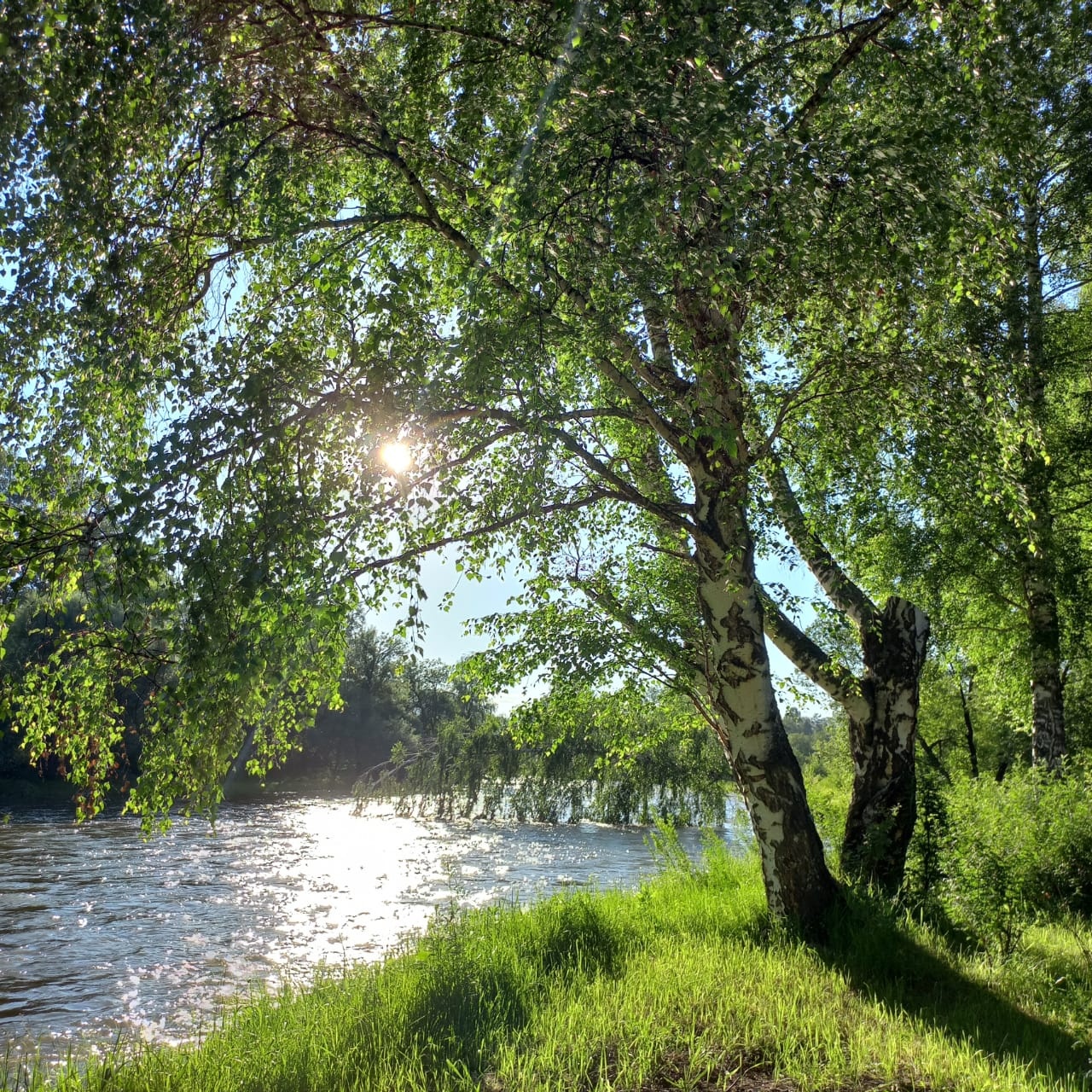 Bars Glamp - фото 9