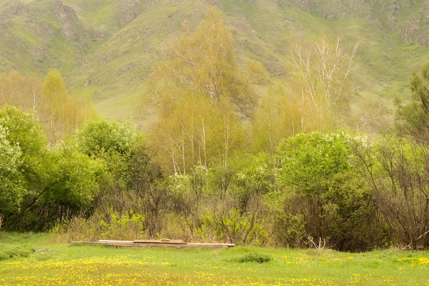 Bars Glamp - фото 11