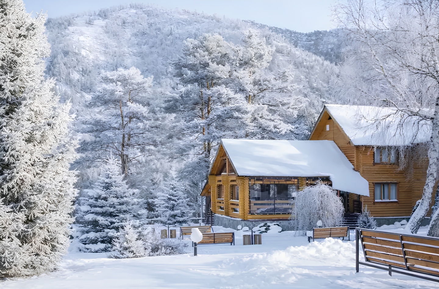 Усадьба Саржевских - фото 1