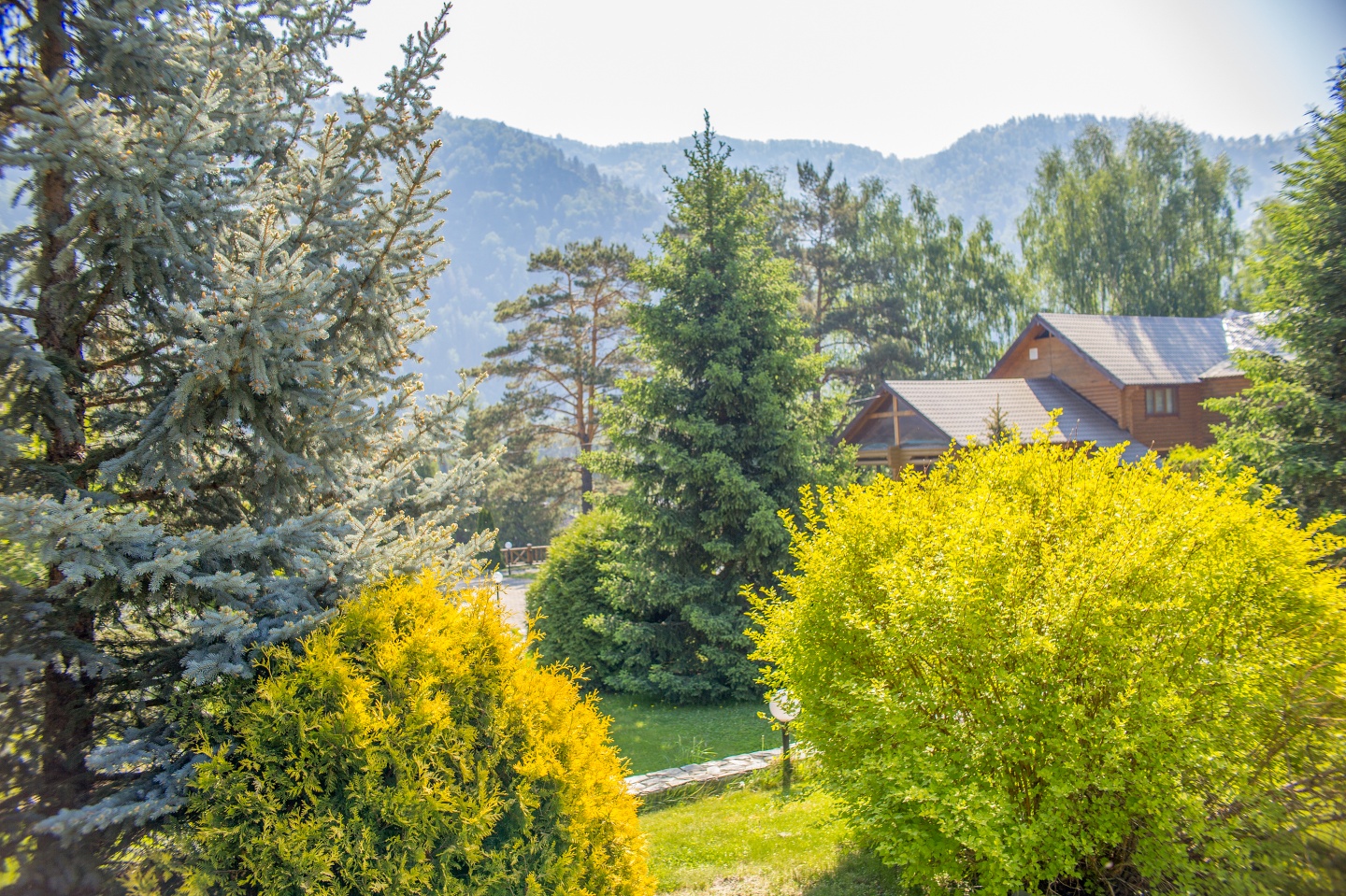 Усадьба Саржевских - фото 18