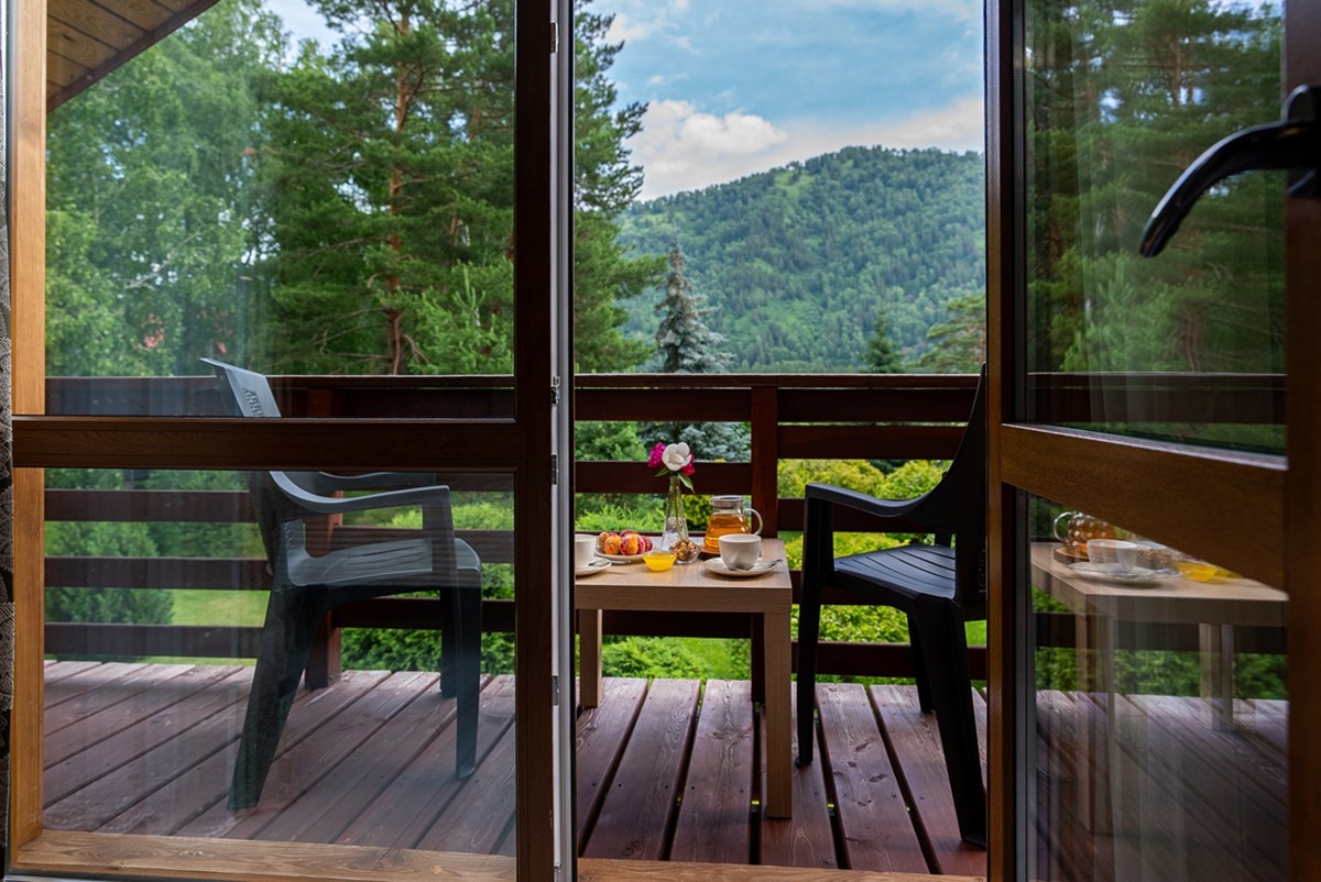 Делюкс вид на сад - фото 6