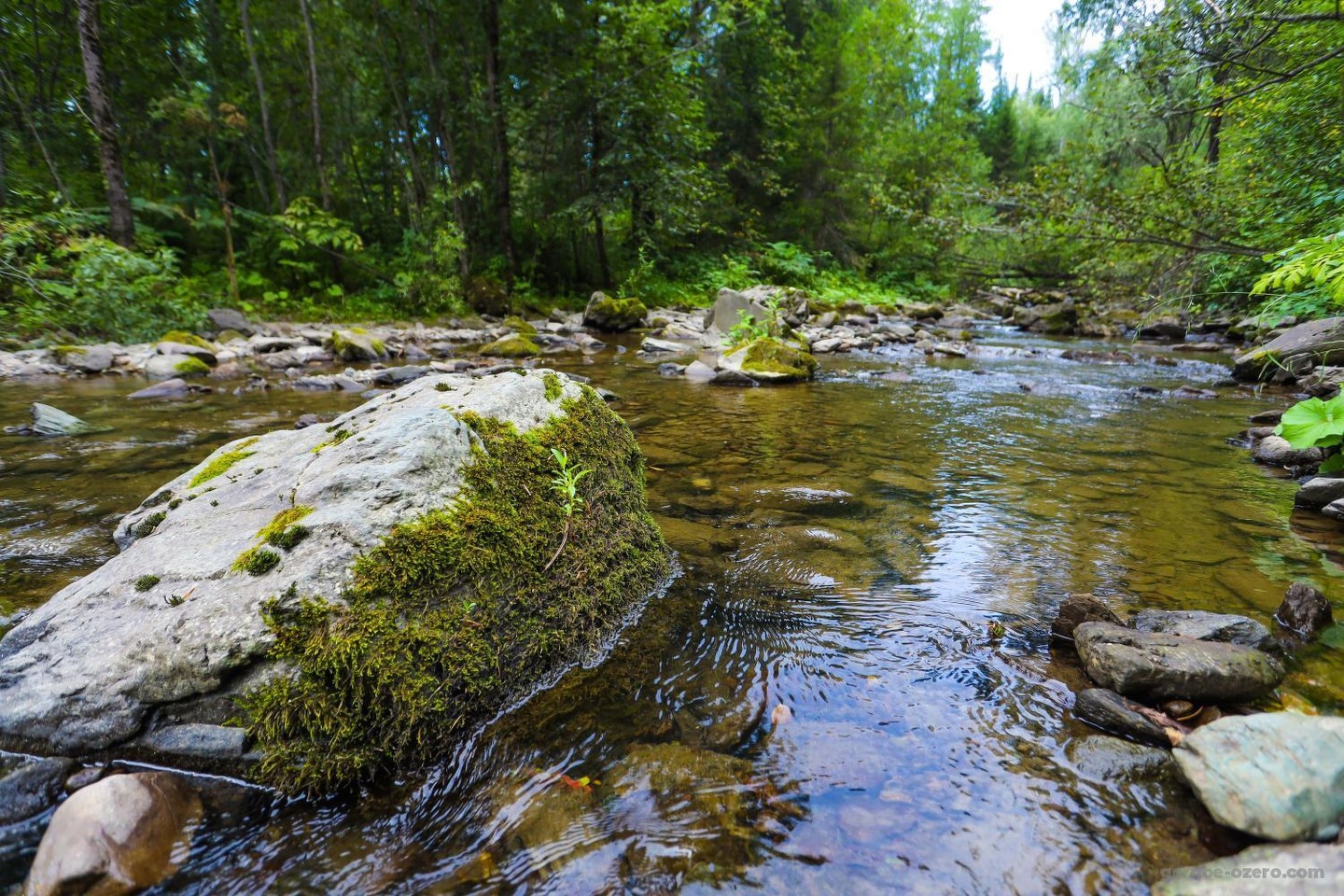 Горное озеро - фото 28