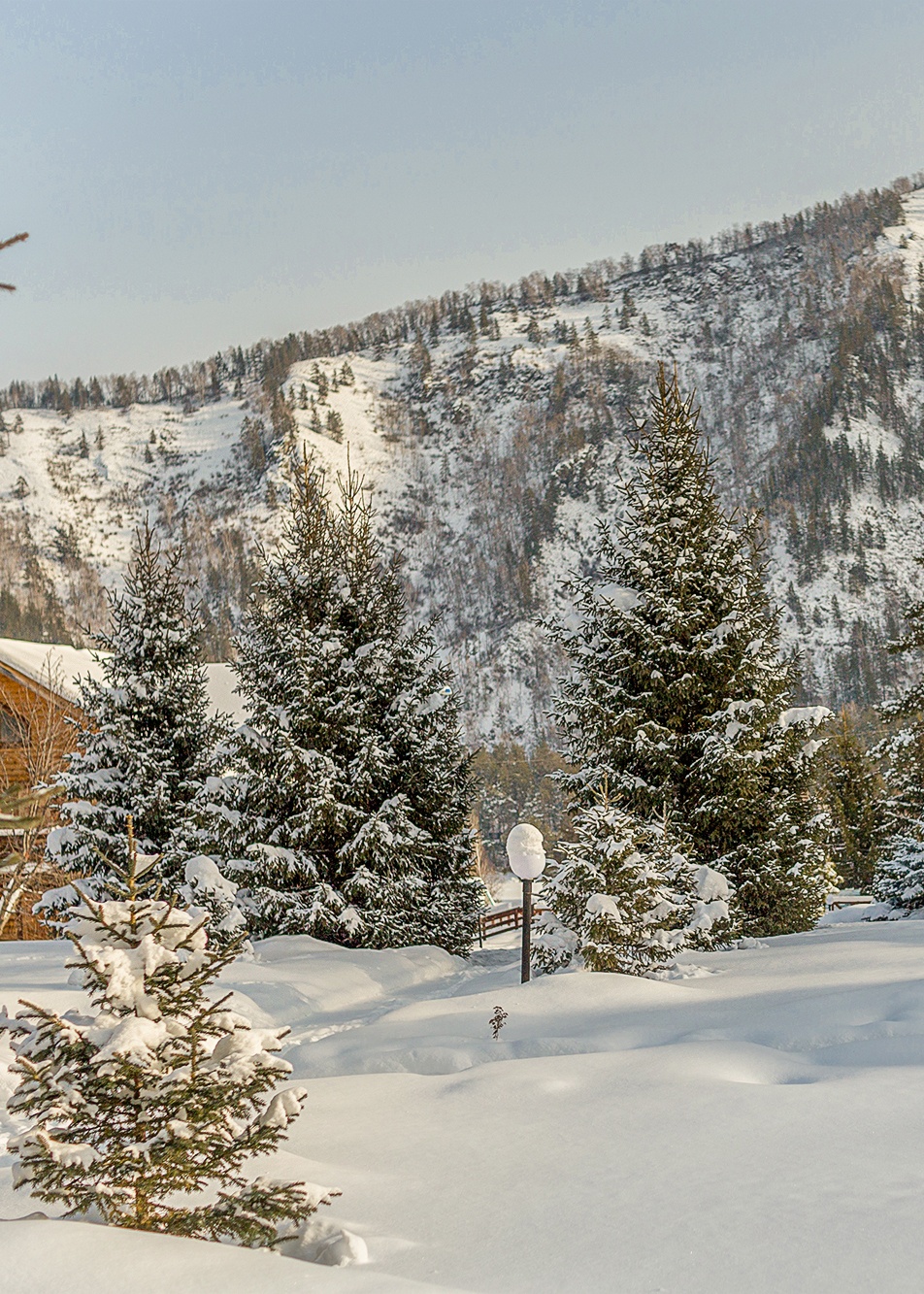 Усадьба Саржевских - фото 34