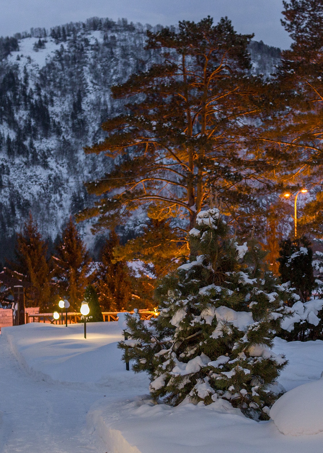 Усадьба Саржевских - фото 39