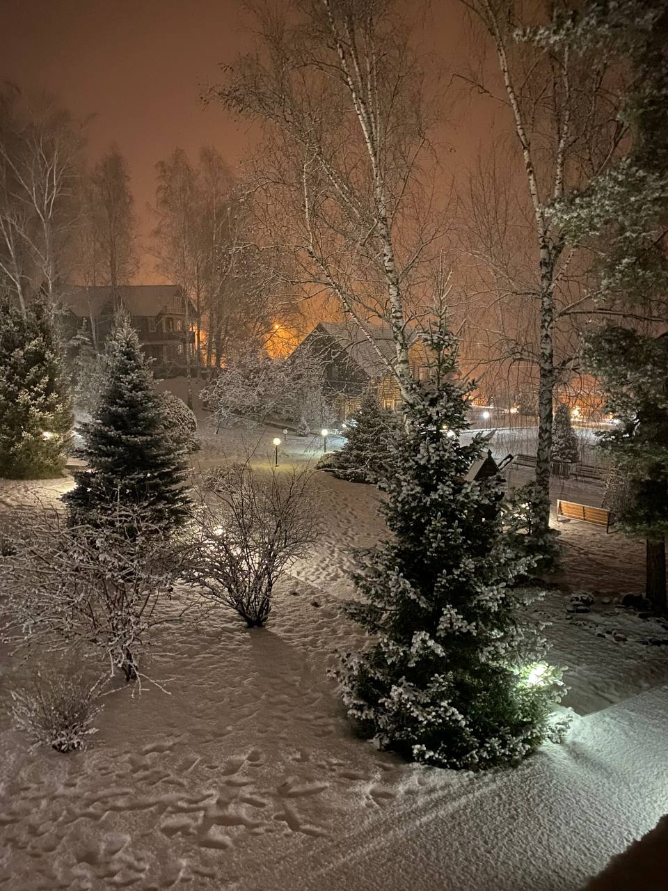 Усадьба Саржевских - фото 43