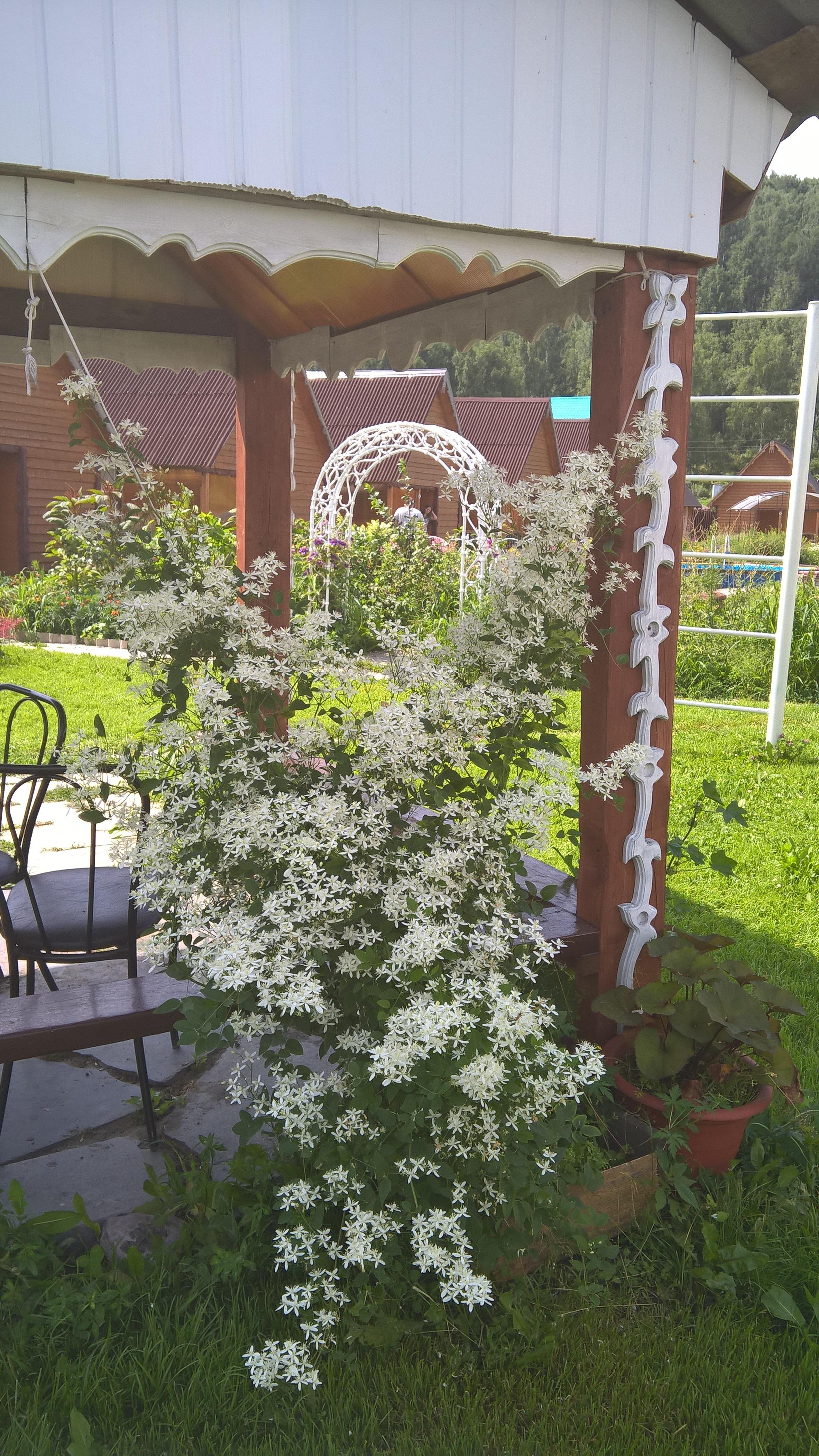 Время счастья - фото 15