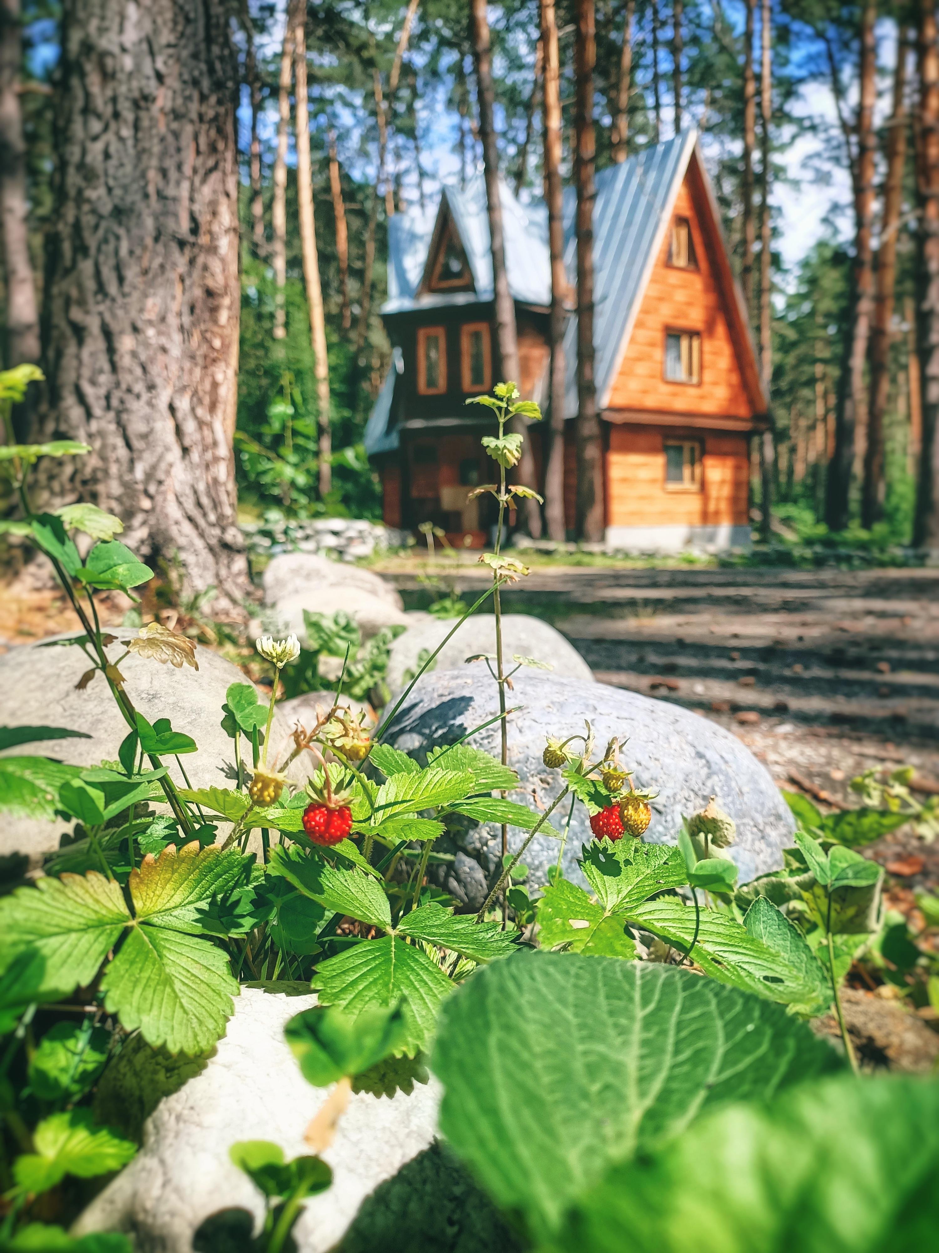 Манжерок - фото 30