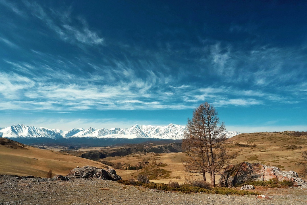 Манжерок - фото 36