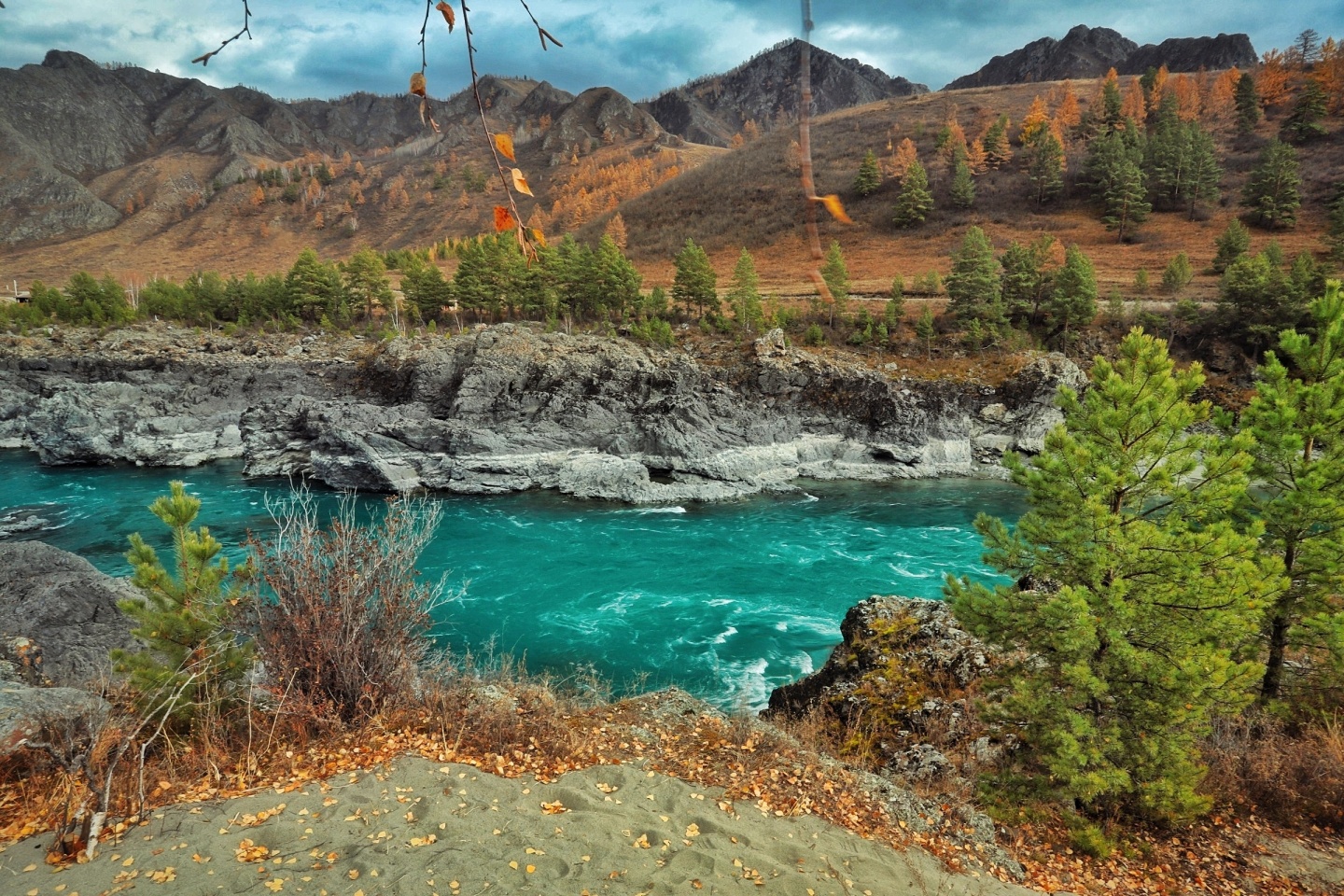 Манжерок - фото 37