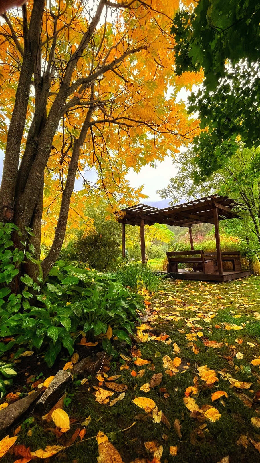 Манжерок - фото 43