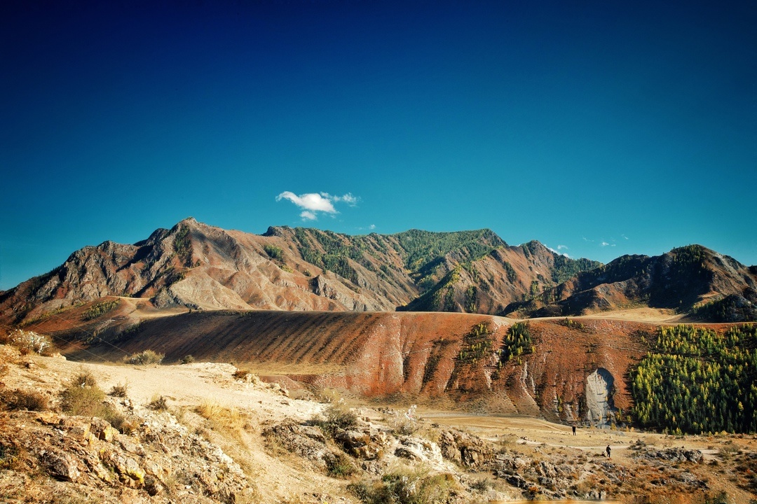 Манжерок - фото 55