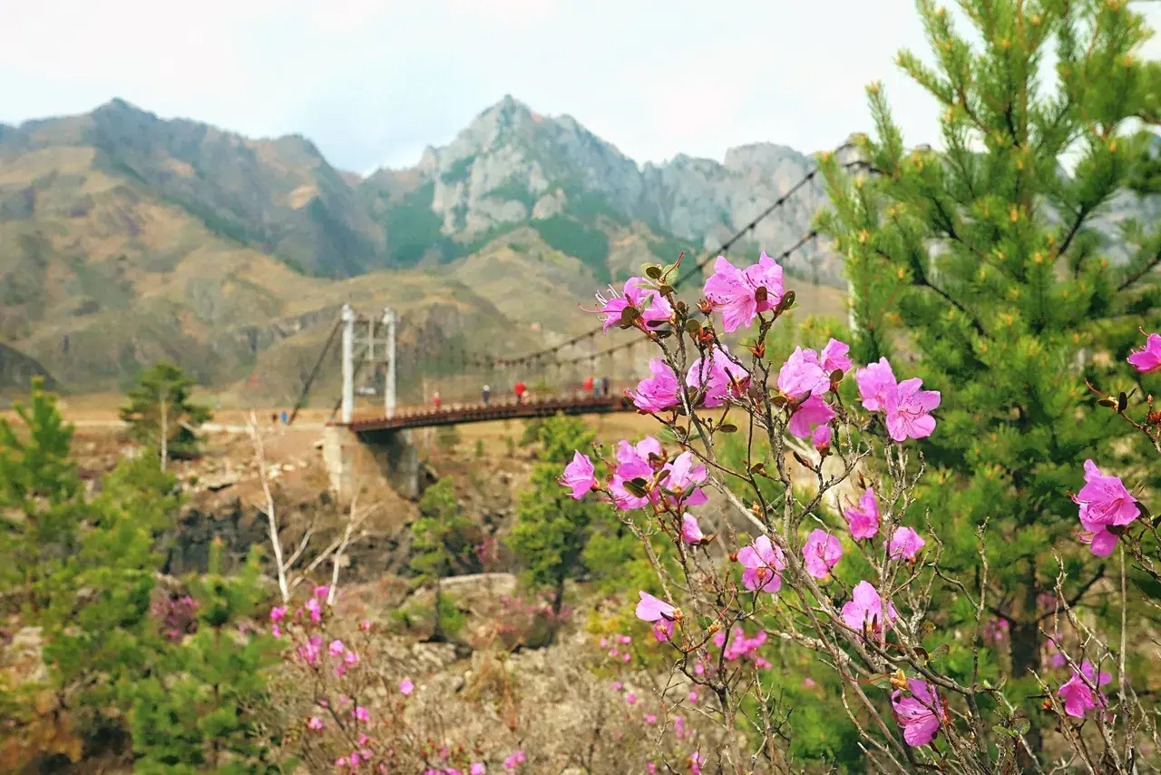 Манжерок - фото 65