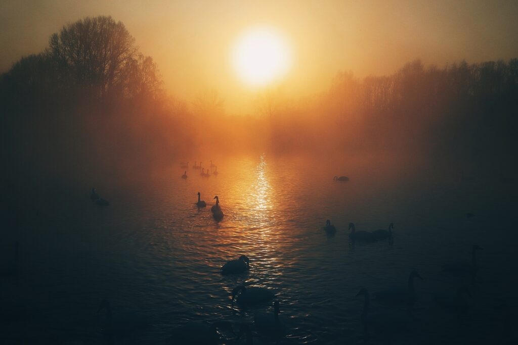 Манжерок - фото 73