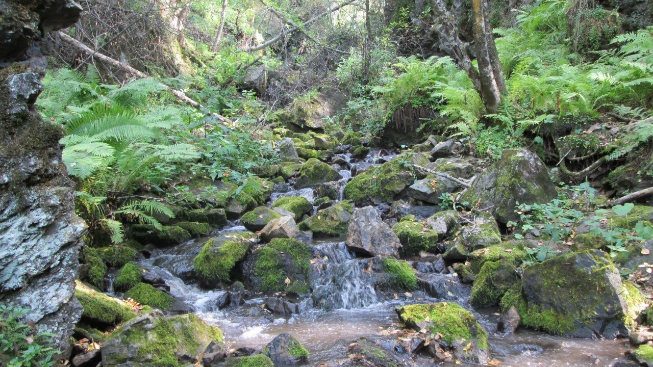 Манжерок - фото 76