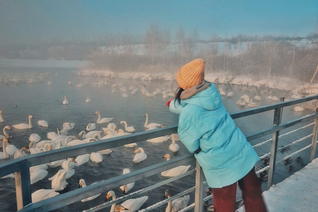 Манжерок - фото 105