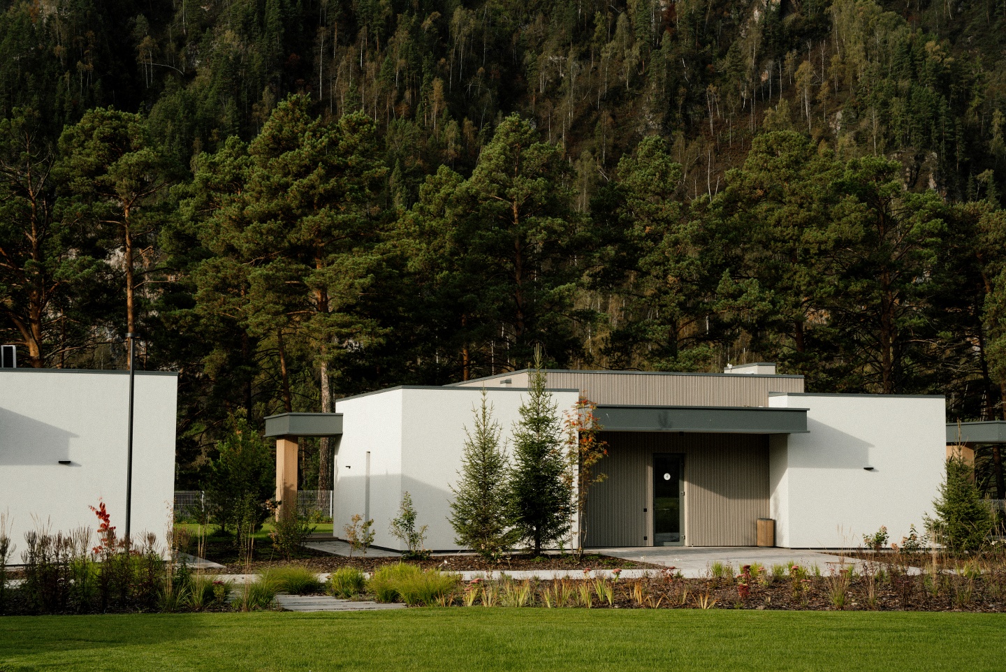 Грушевый цвет - фото 14