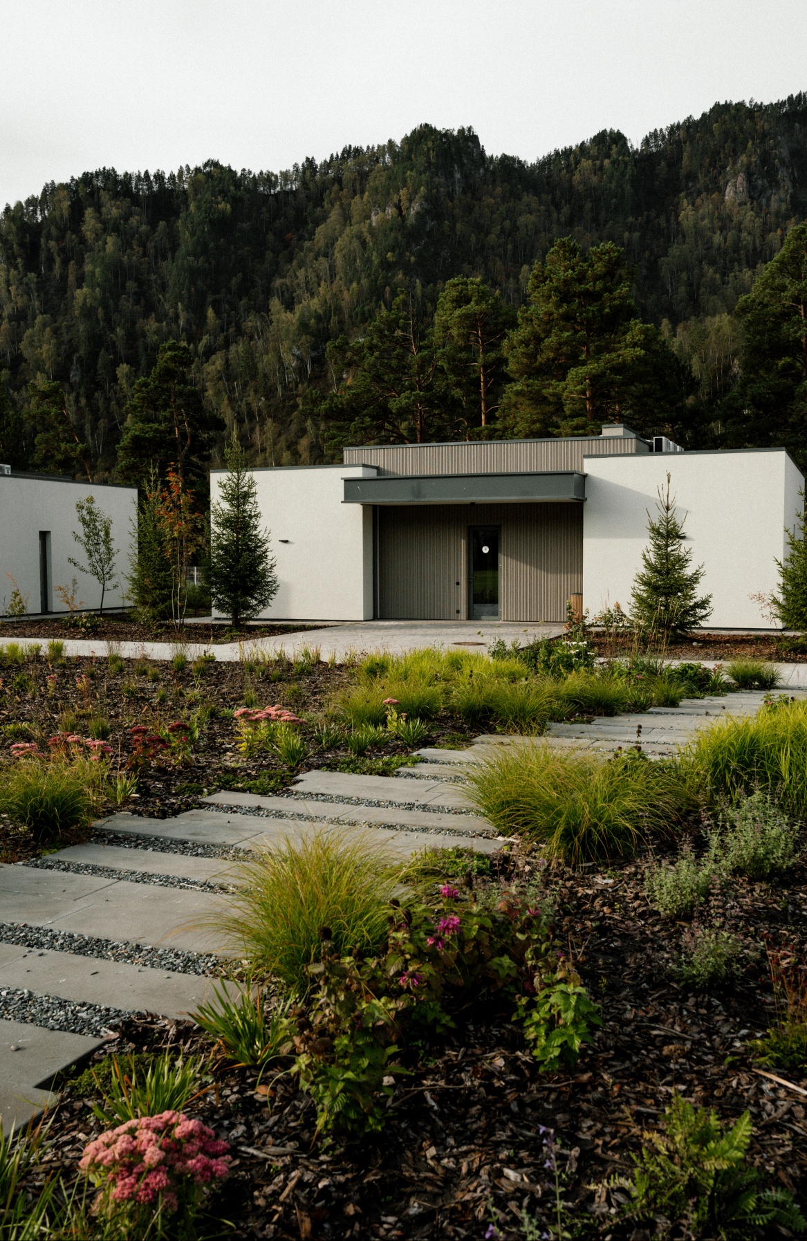 Грушевый цвет - фото 21