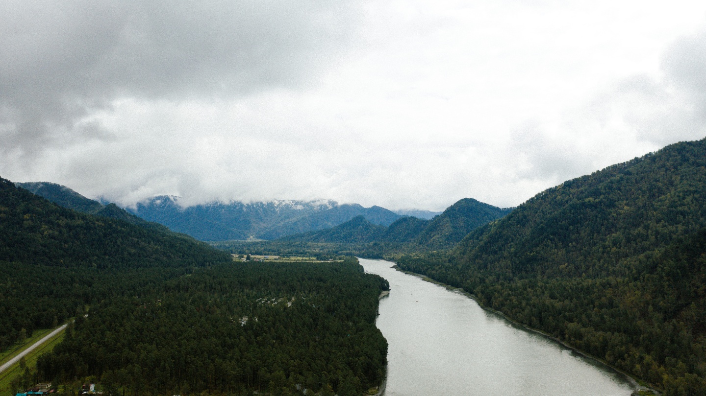 Грушевый цвет - фото 37