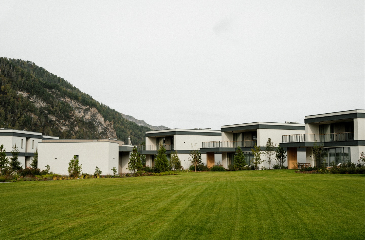 Грушевый цвет - фото 56