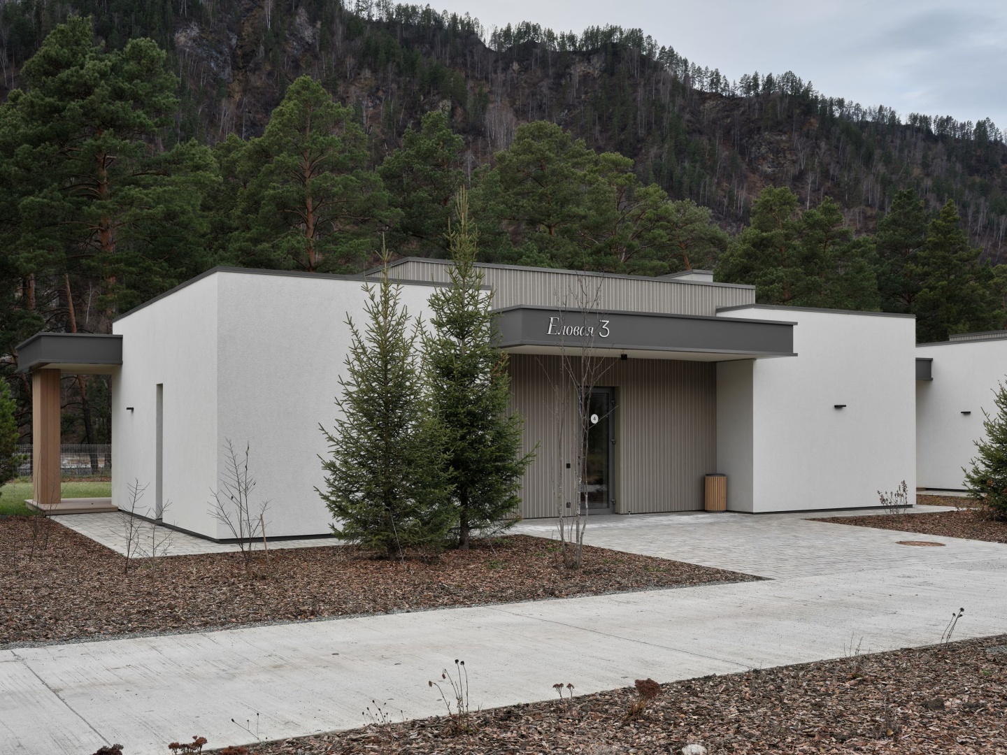 Грушевый цвет - фото 67