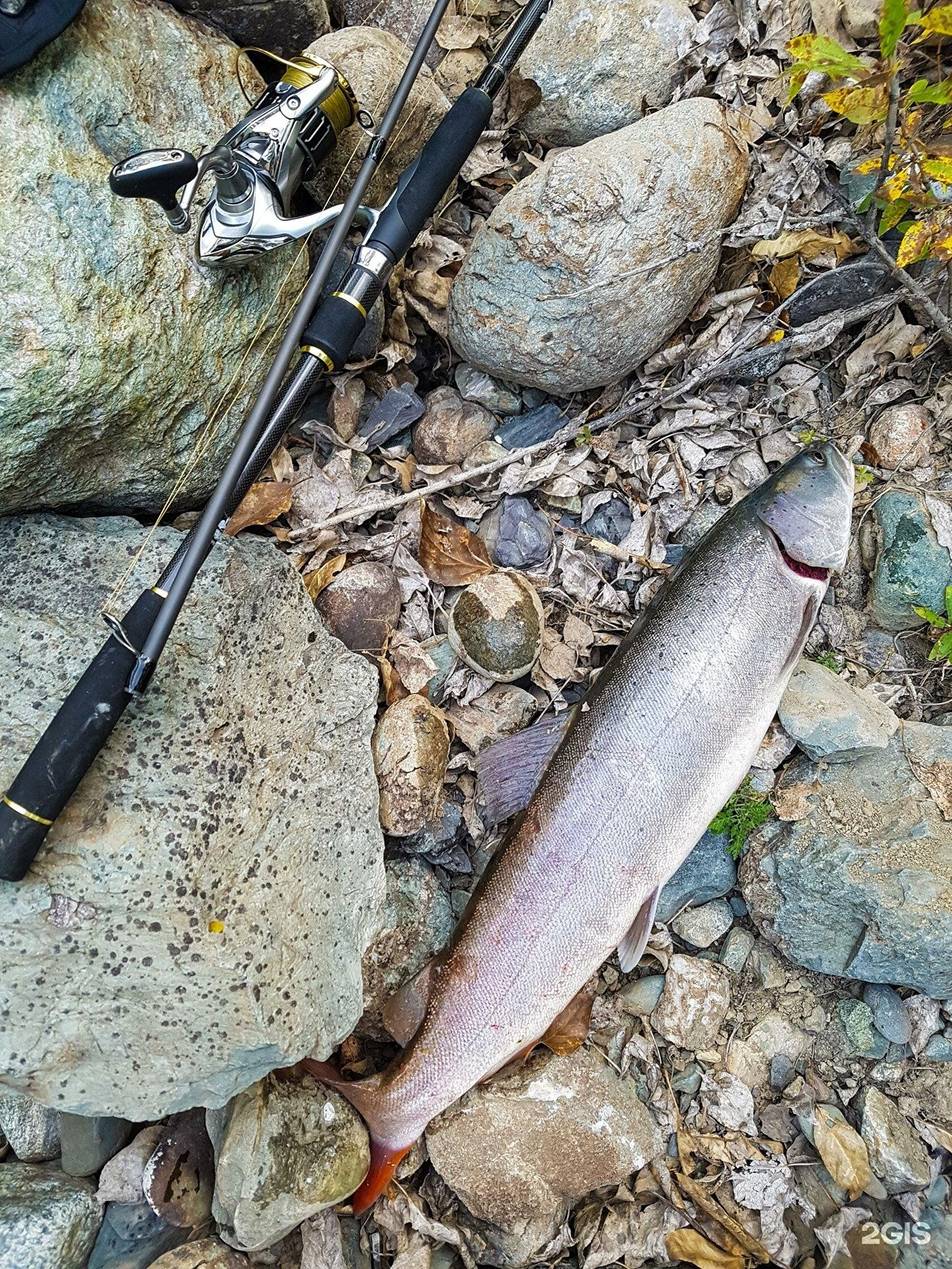 Инегень - фото 107