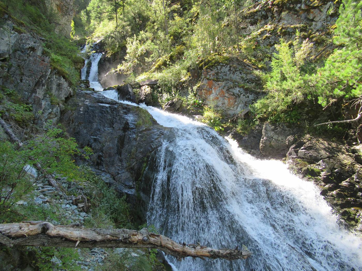 Неповторимая красота первозданной природы. Республика Алтай. - фото 2