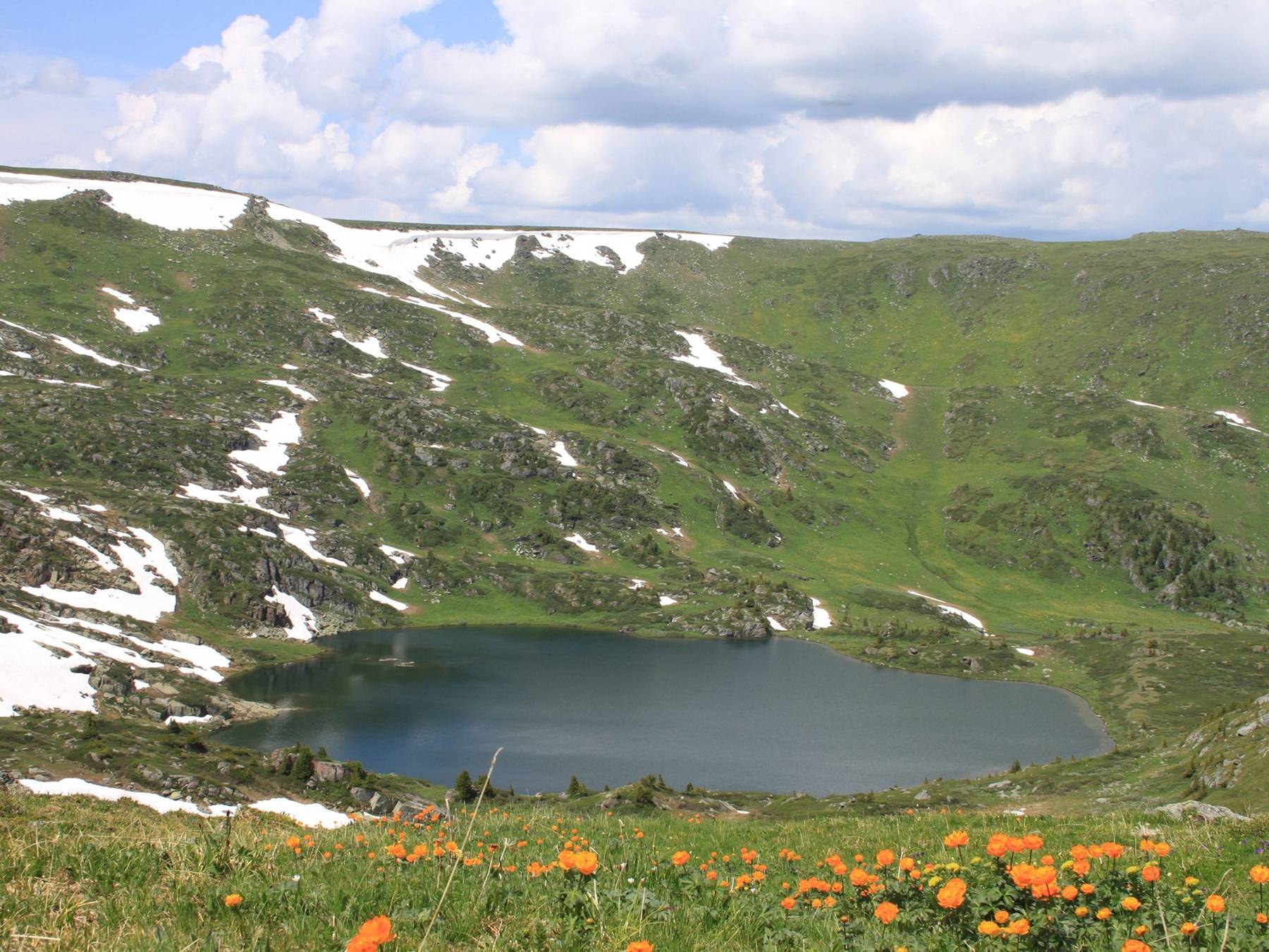 ООО "ЛЕО" - фото 4