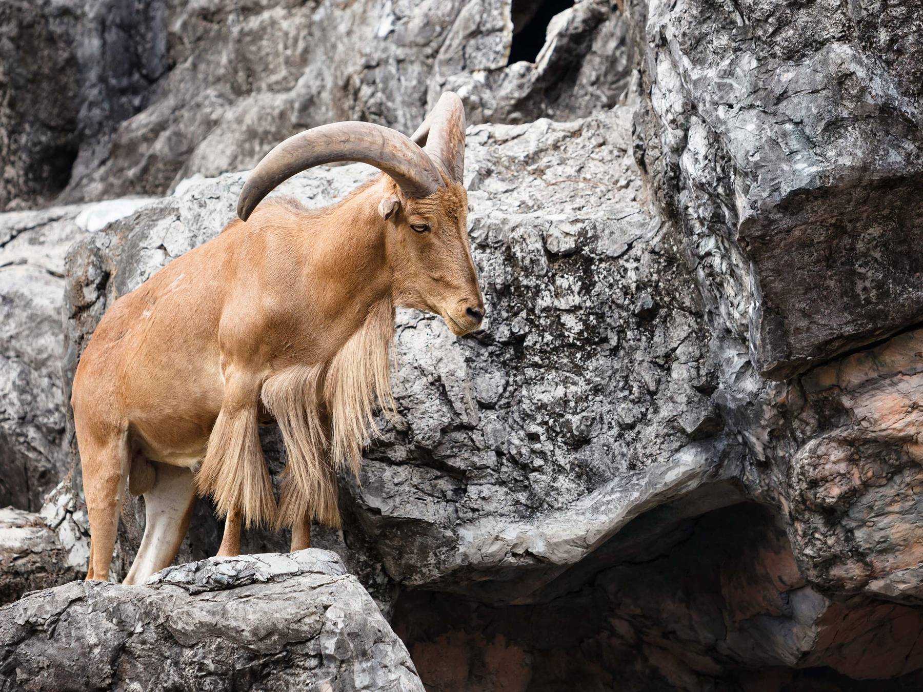 ООО ТУРКОМПЛЕКС "МАНЖЕРОК" - фото 5